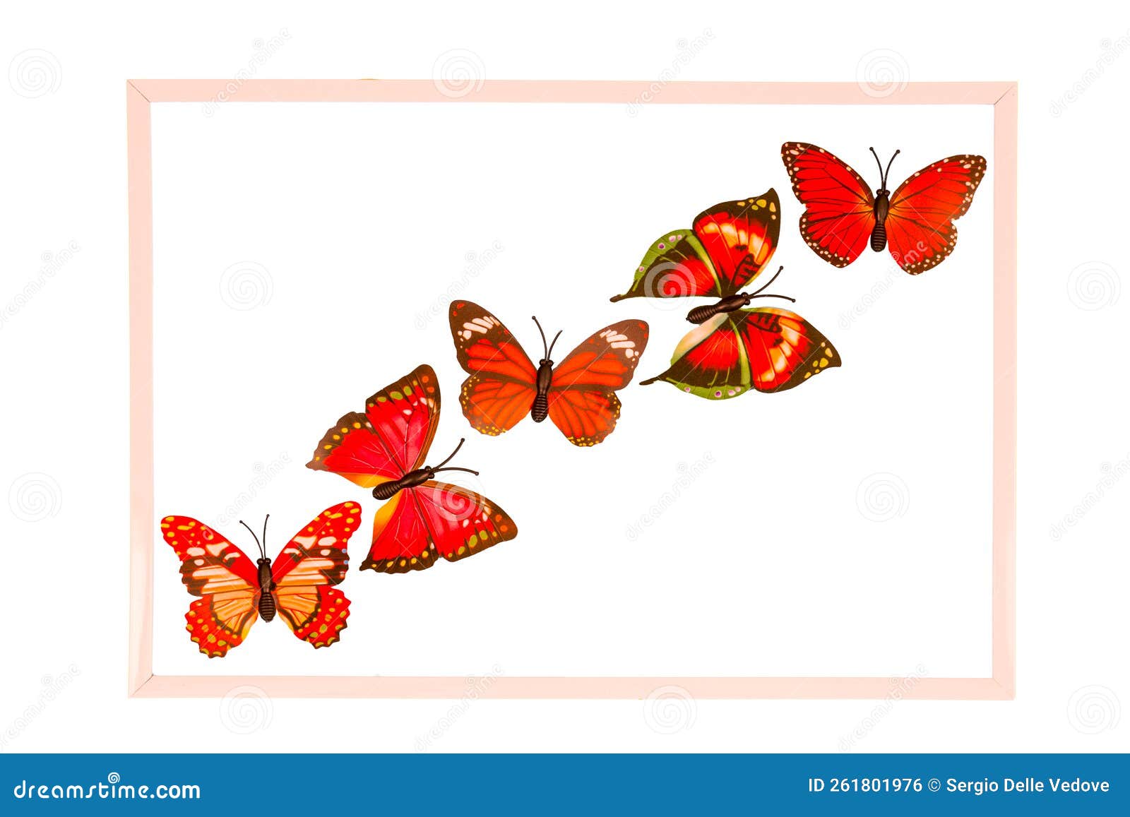 Fake Butterflies Stock Photos - Free & Royalty-Free Stock Photos from  Dreamstime