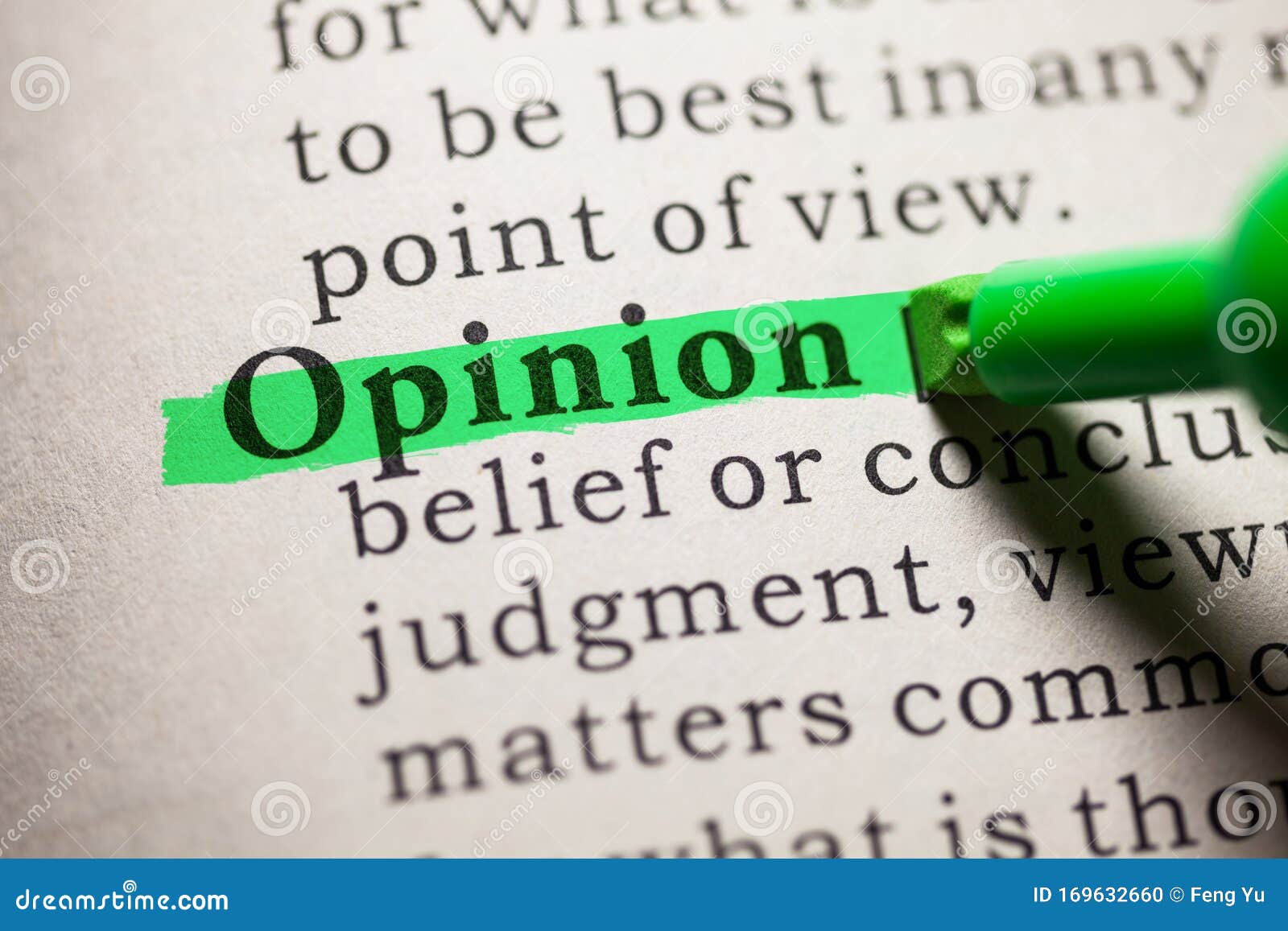 definition of the word opinion