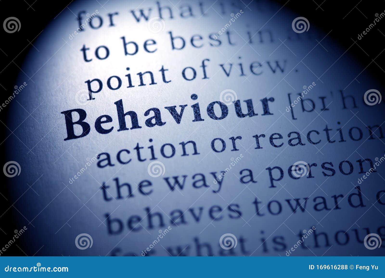 definition of the word behaviour