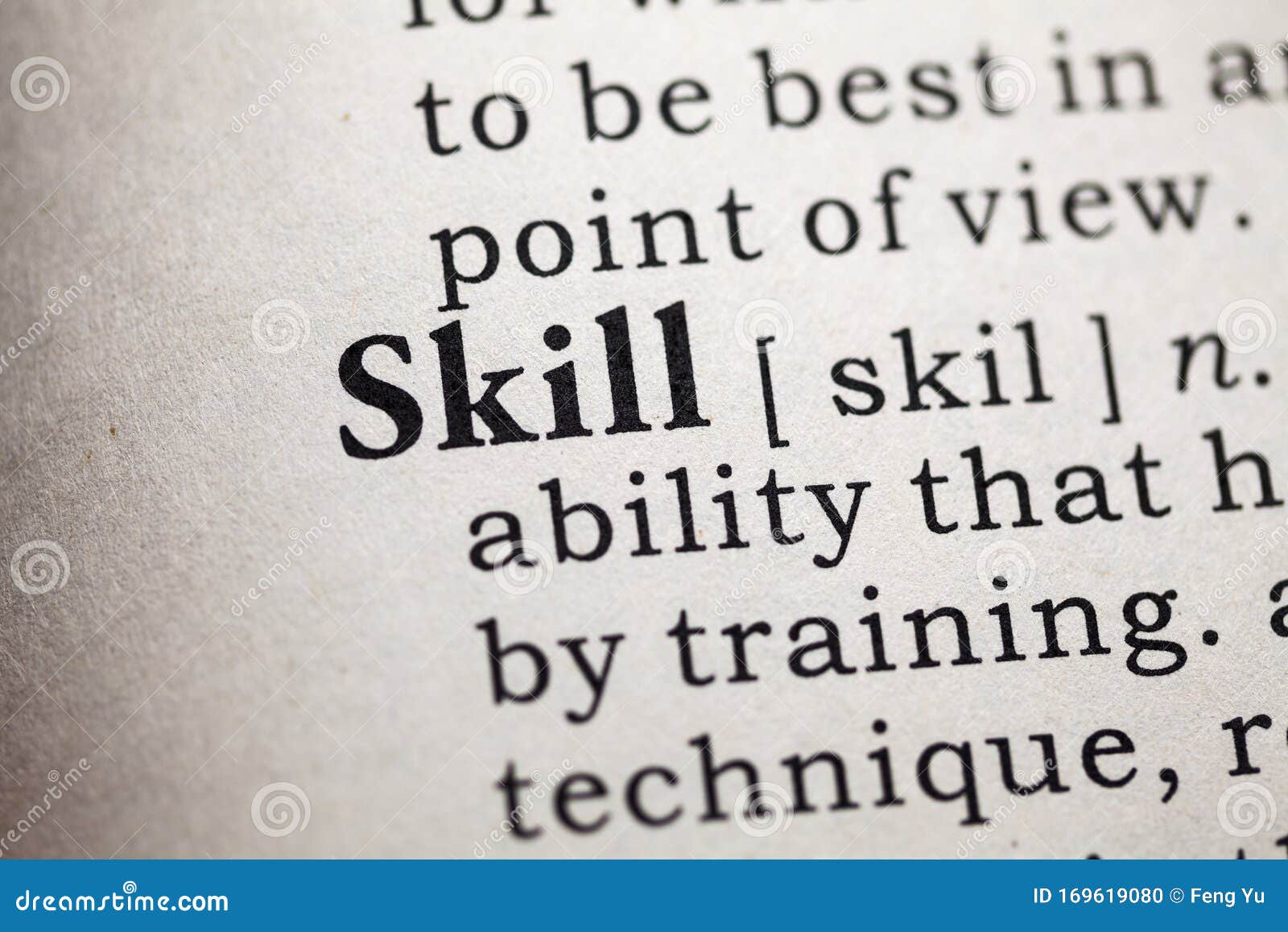 SKILL DEFINITION MEANING visual data 7