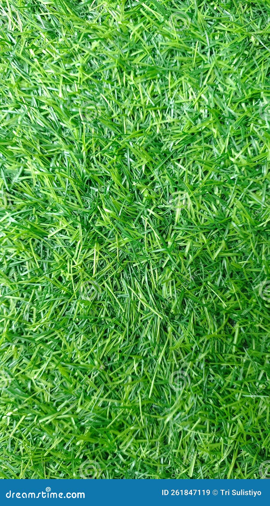 Fake green grass stock image. Image of crop, tree, green 261847119