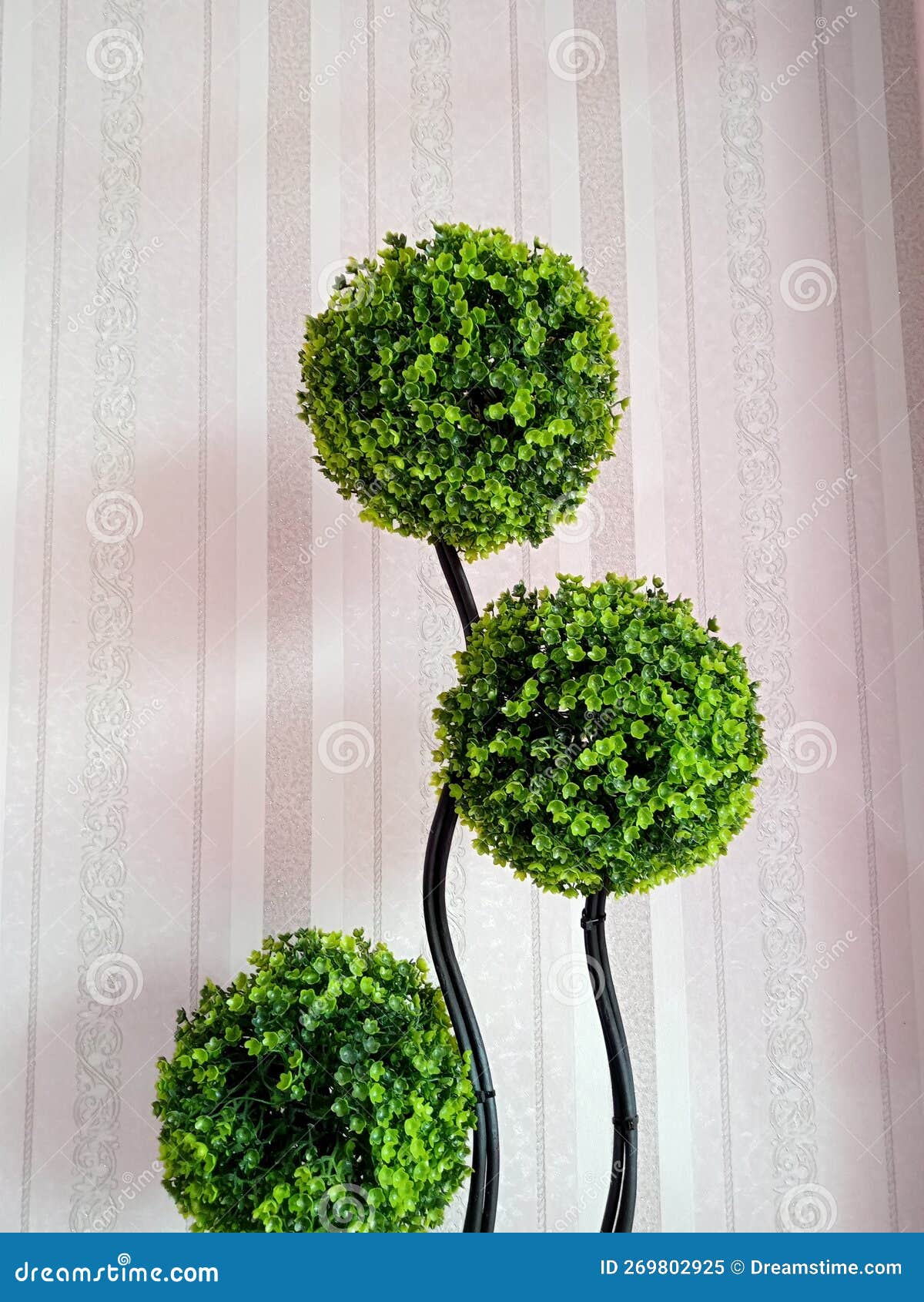 Fake green plant stock image. Image of fake, plan, like 269802925