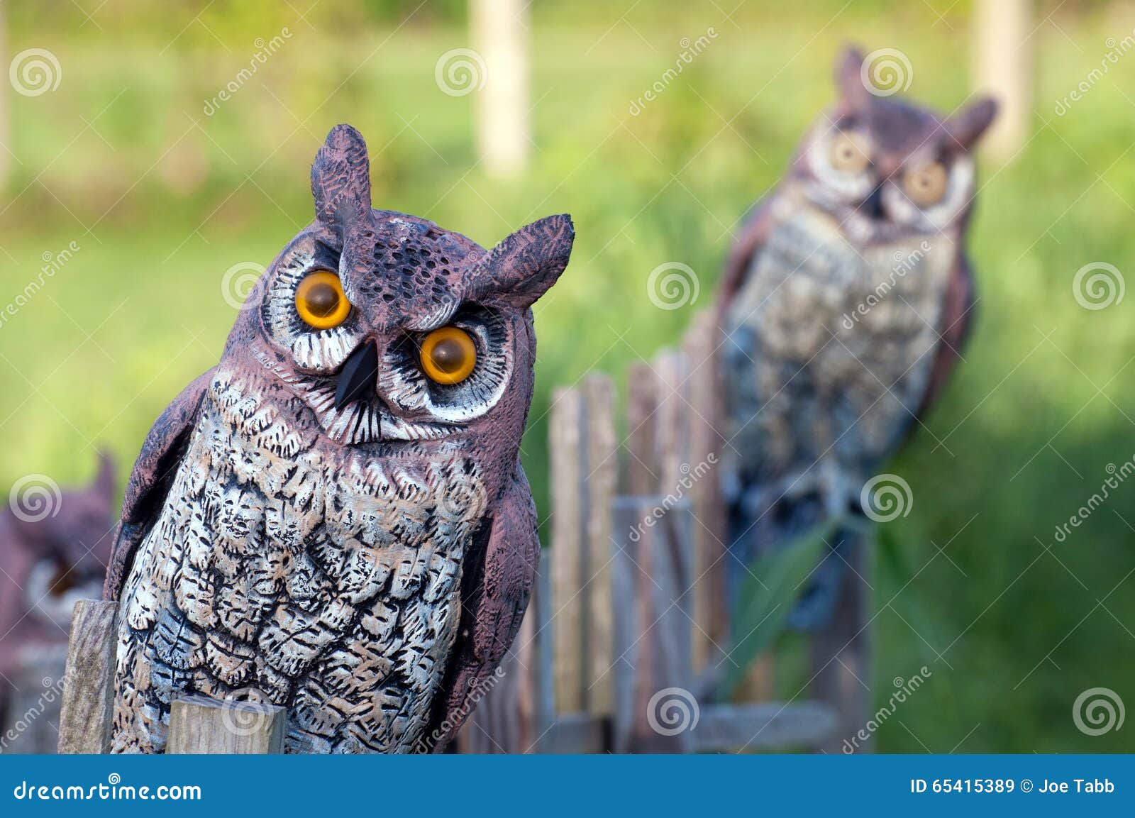 Fake Owls Stock Image Image Of Pest Wooden Owls Garden 65415389