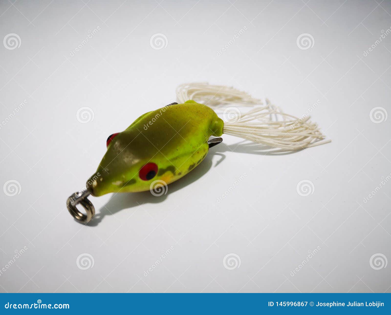 166 Bait Squid Stock Photos - Free & Royalty-Free Stock Photos from  Dreamstime