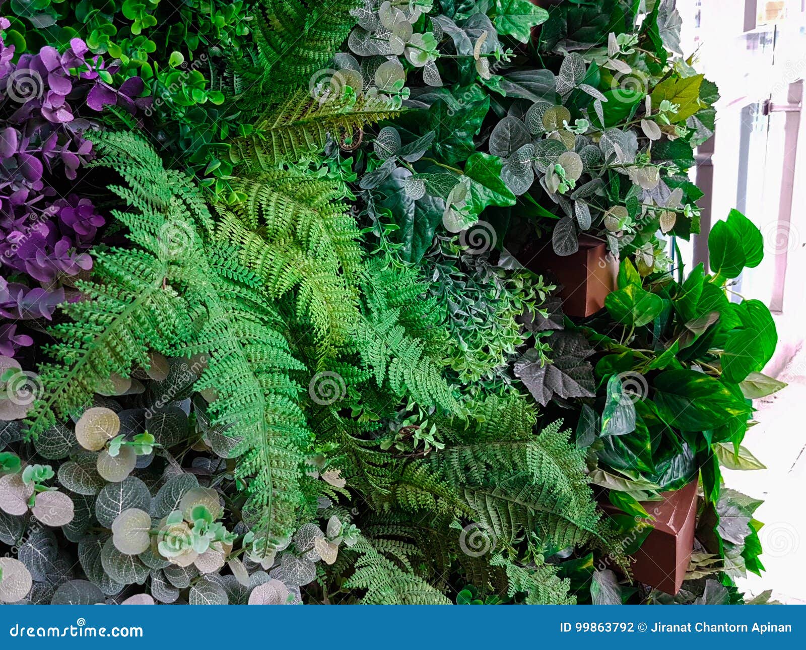 Fake Plastic Tree Variety Place on Multilevel Decoration Stock Photo