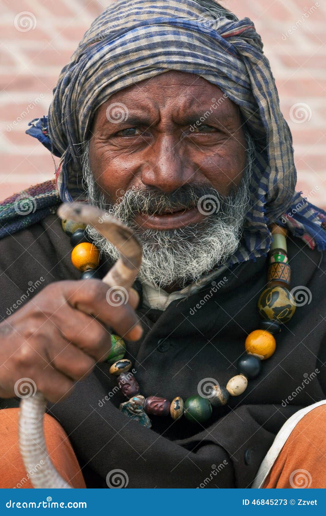 Fakir indien, Inde photo stock éditorial. Image du hindouisme 46845273