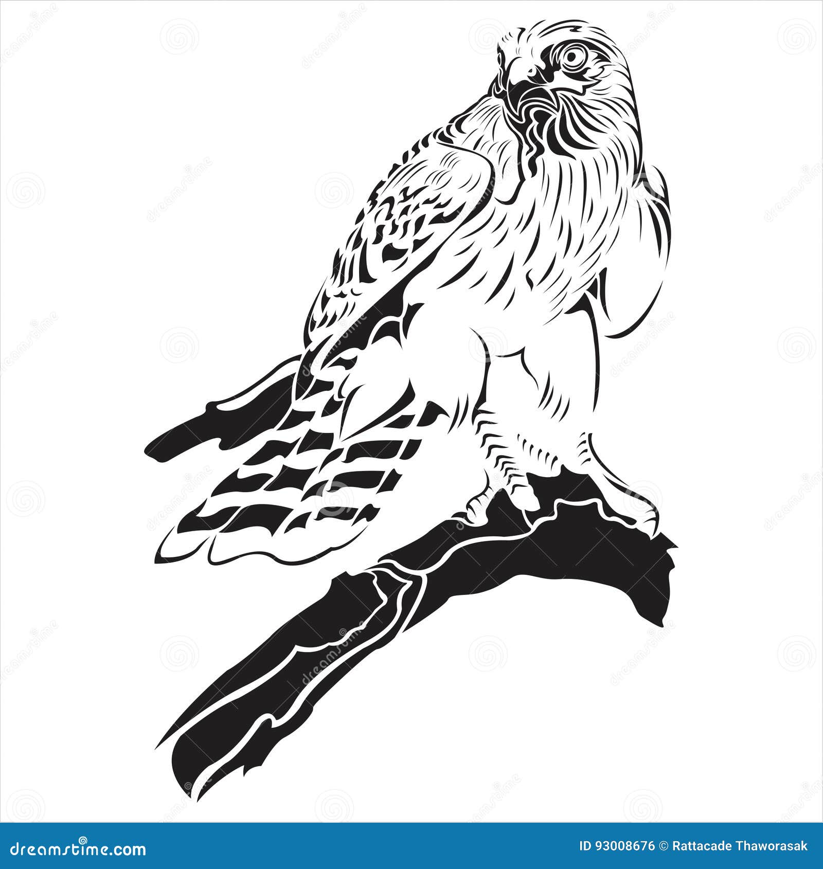 falcon black and white