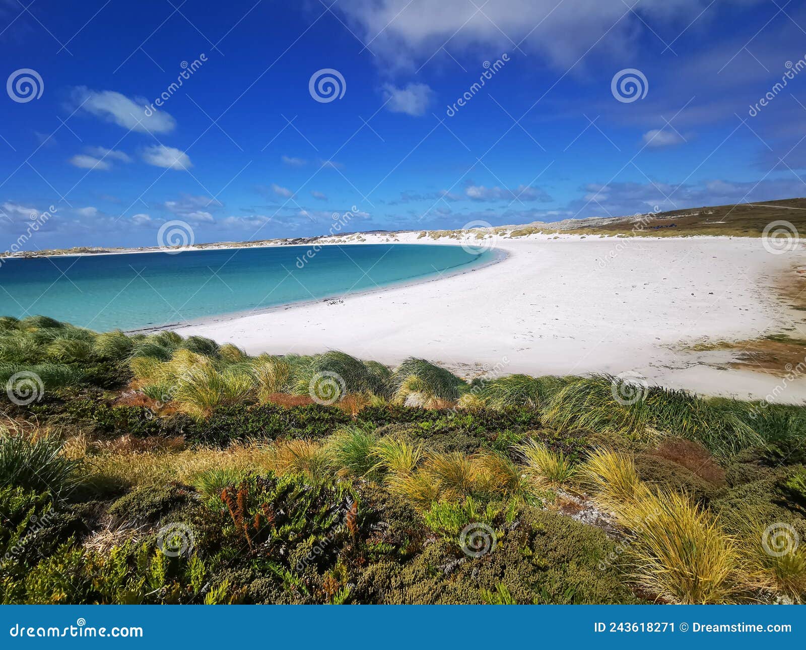 Falkland Islands York Bay stock image. Image of falkland 243618271