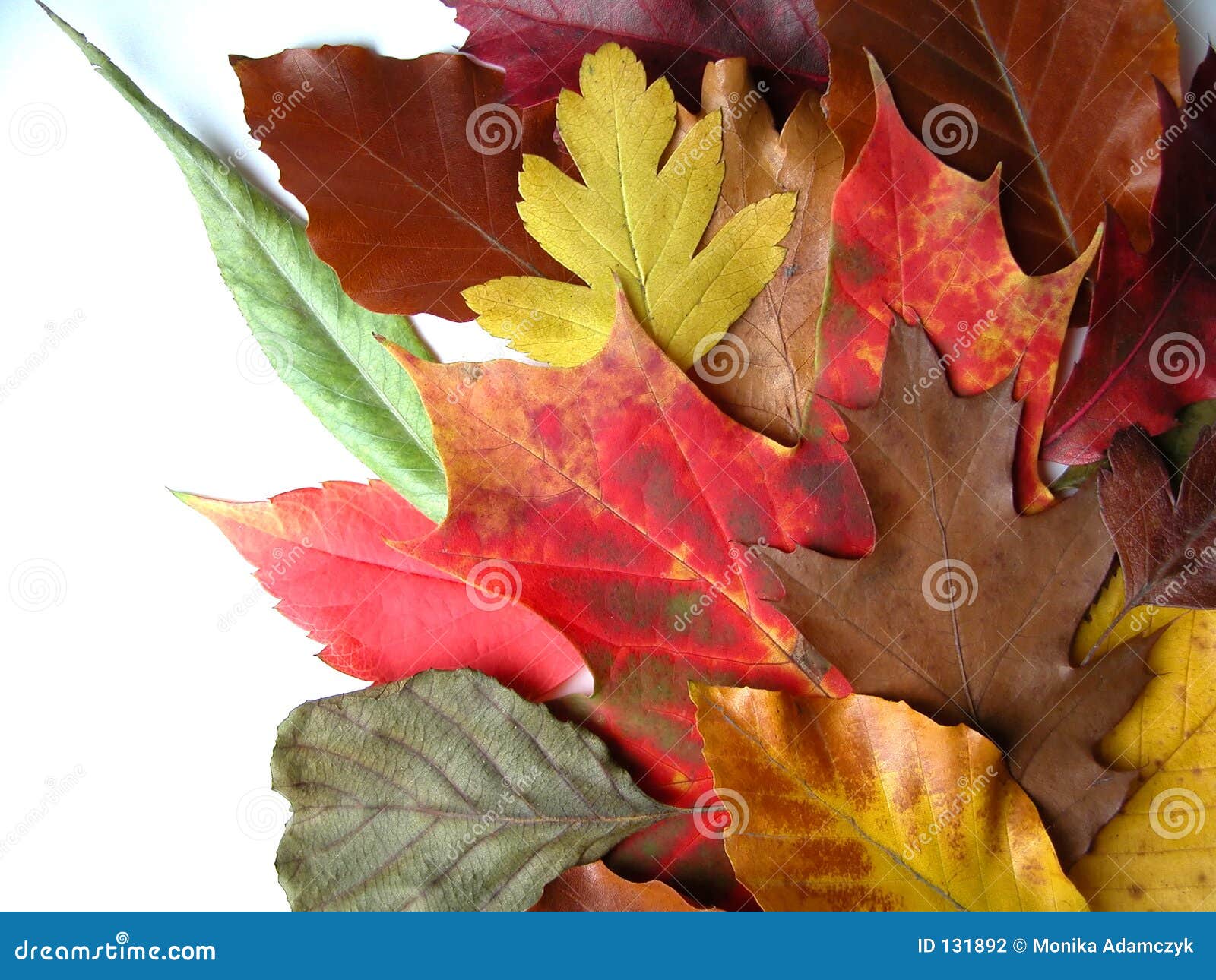 fall