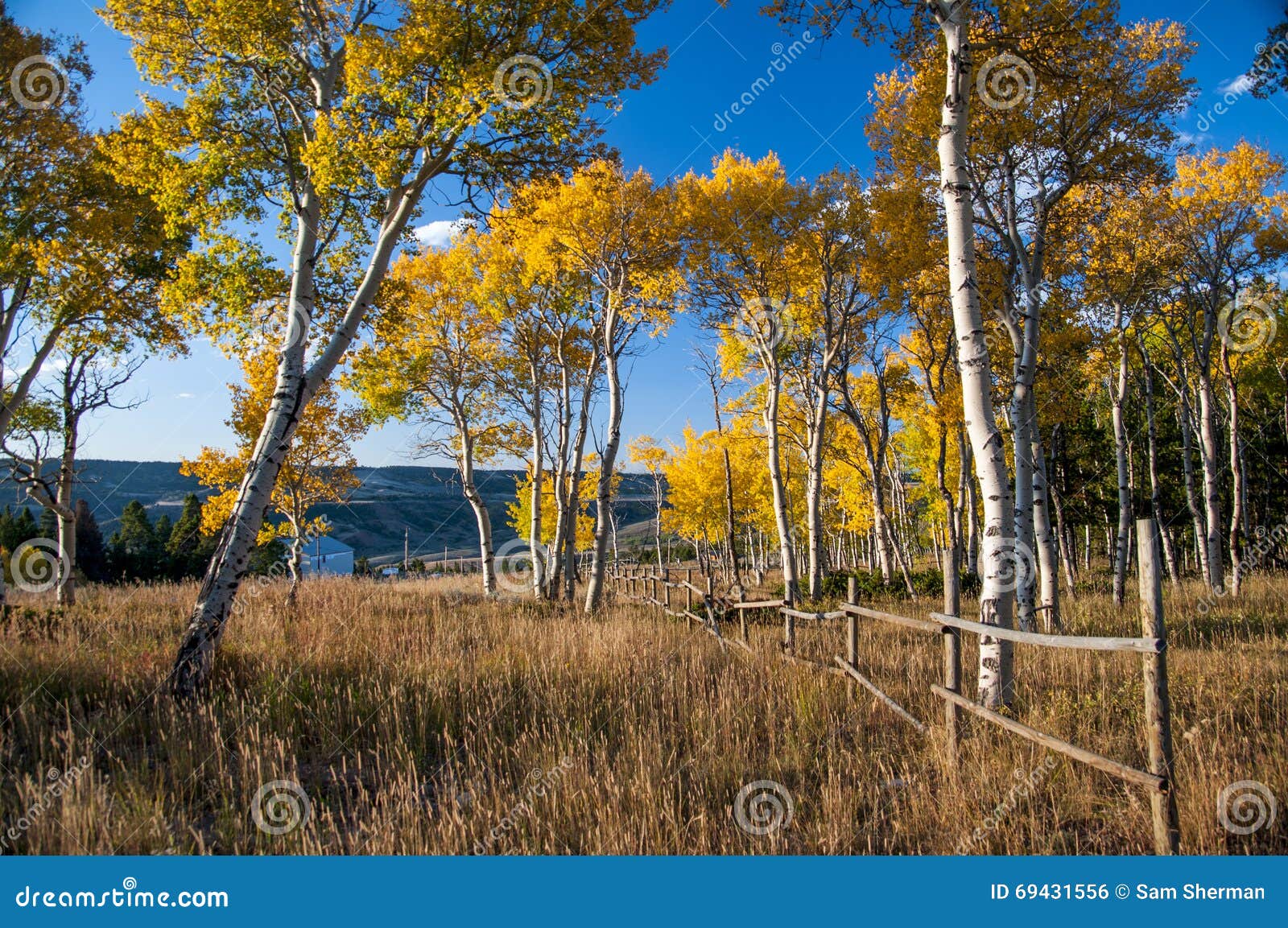 Fall Auf Casper Mountain Wyoming Stockfoto Bild von farben, bezaubern