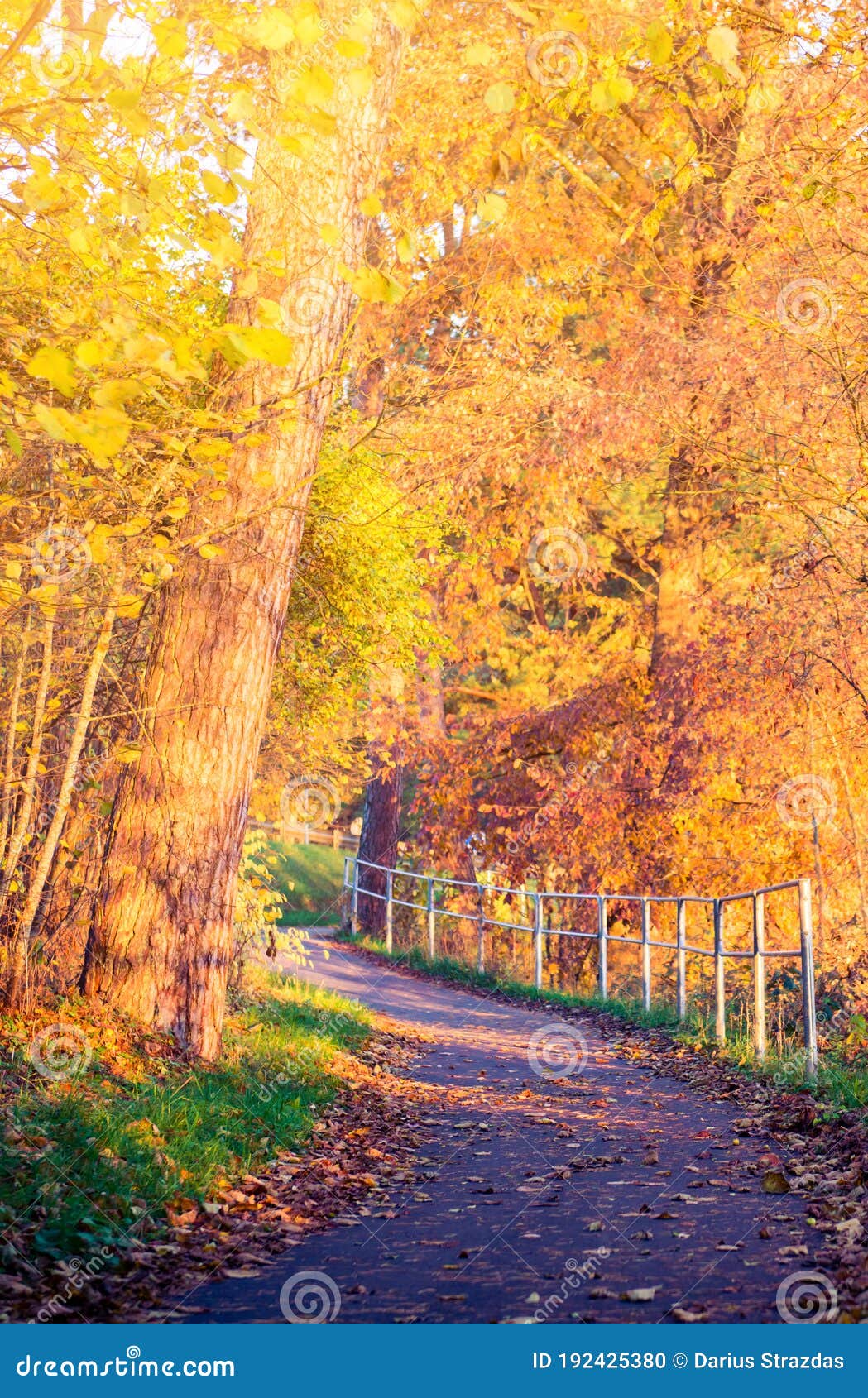 Fall Autumn Path, Golden Tree Leaves Stock Photo - Image of landscape,  outdoor: 192425380