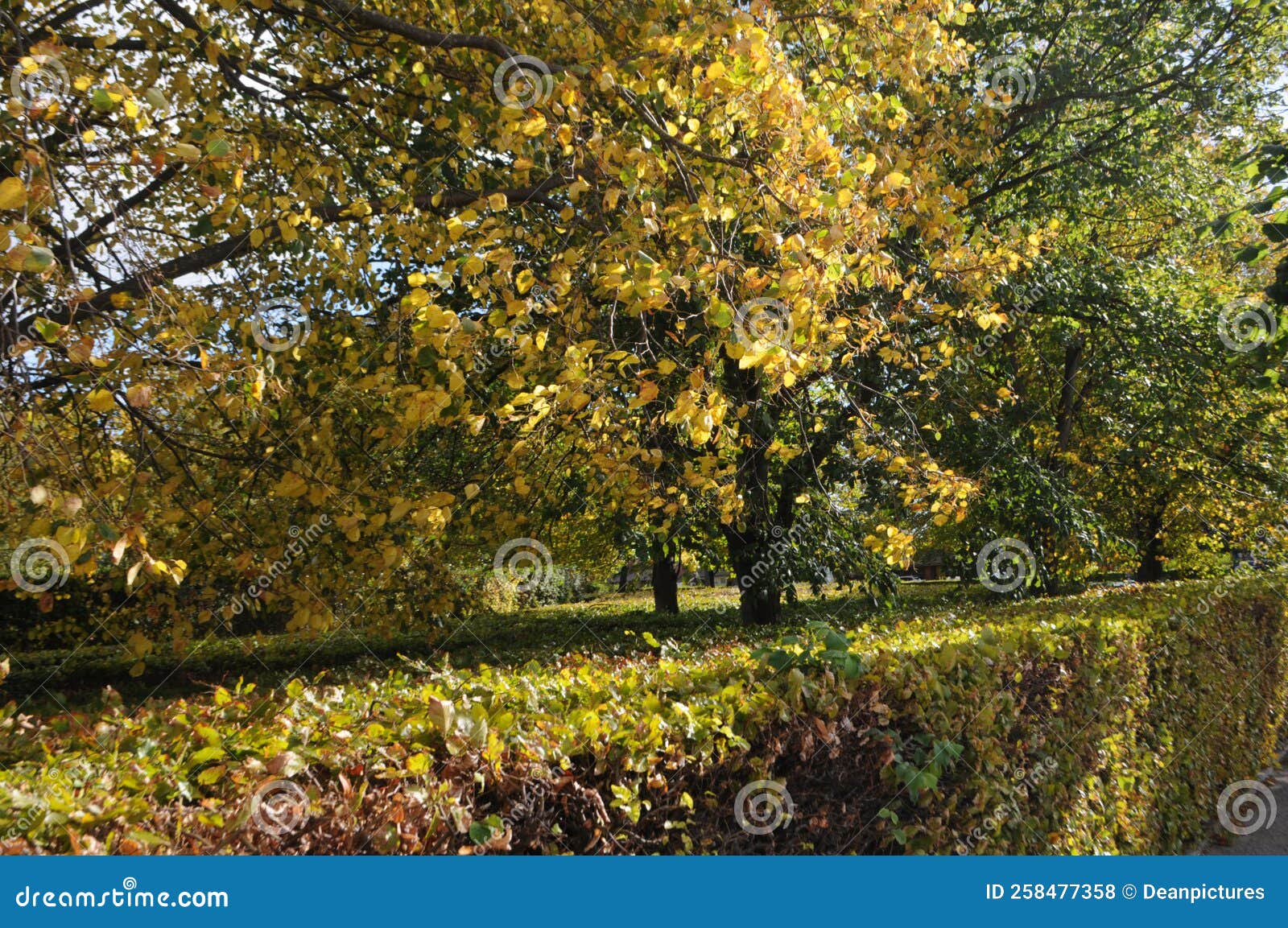 fall or autumn seasion in copenhagen denmark