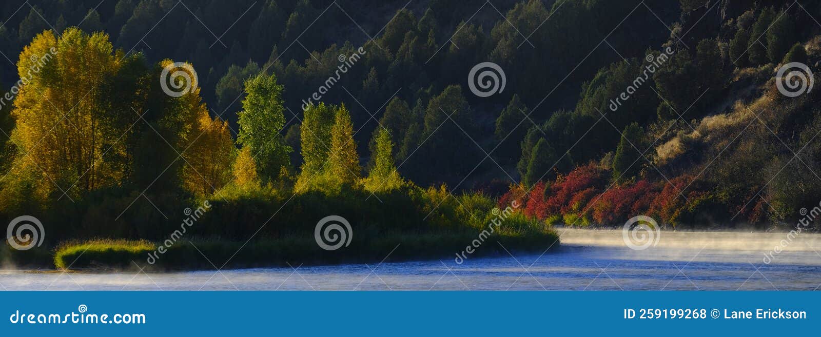 Fall Autumn Trees with River or Lake Water and Forest Stock Photo