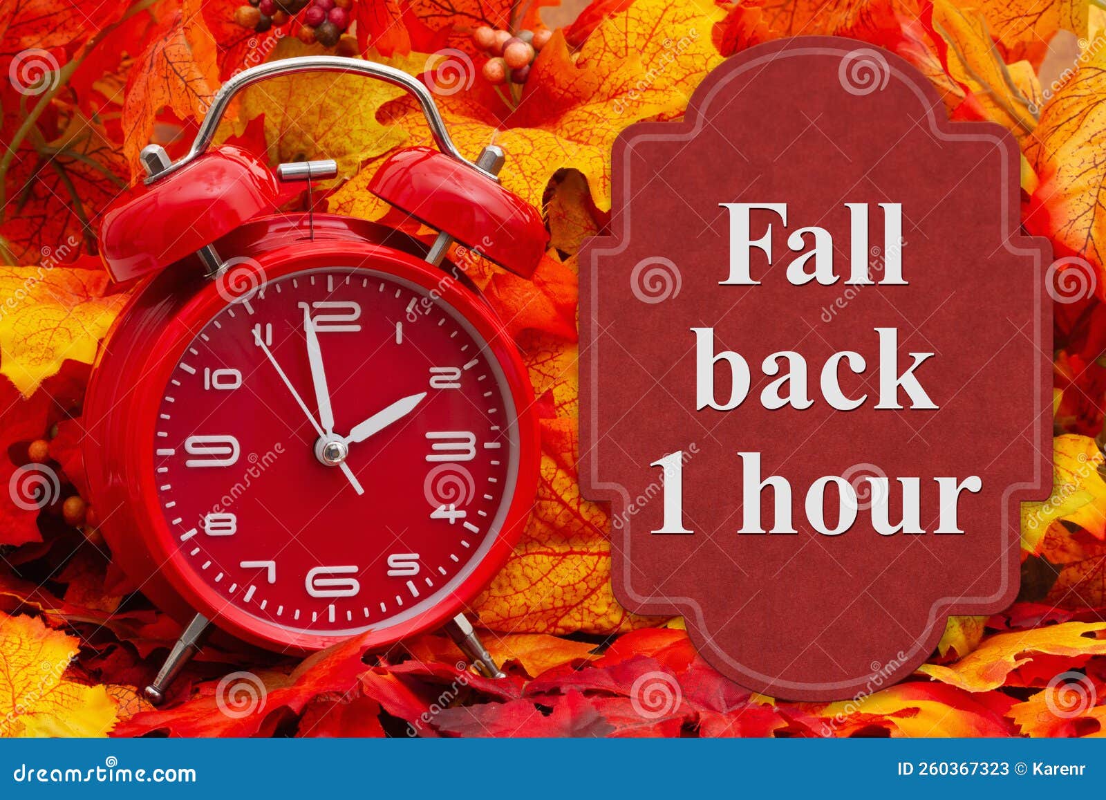 Fall Back 1 Hour Sign with Fall Leaves Stock Image Image of fall