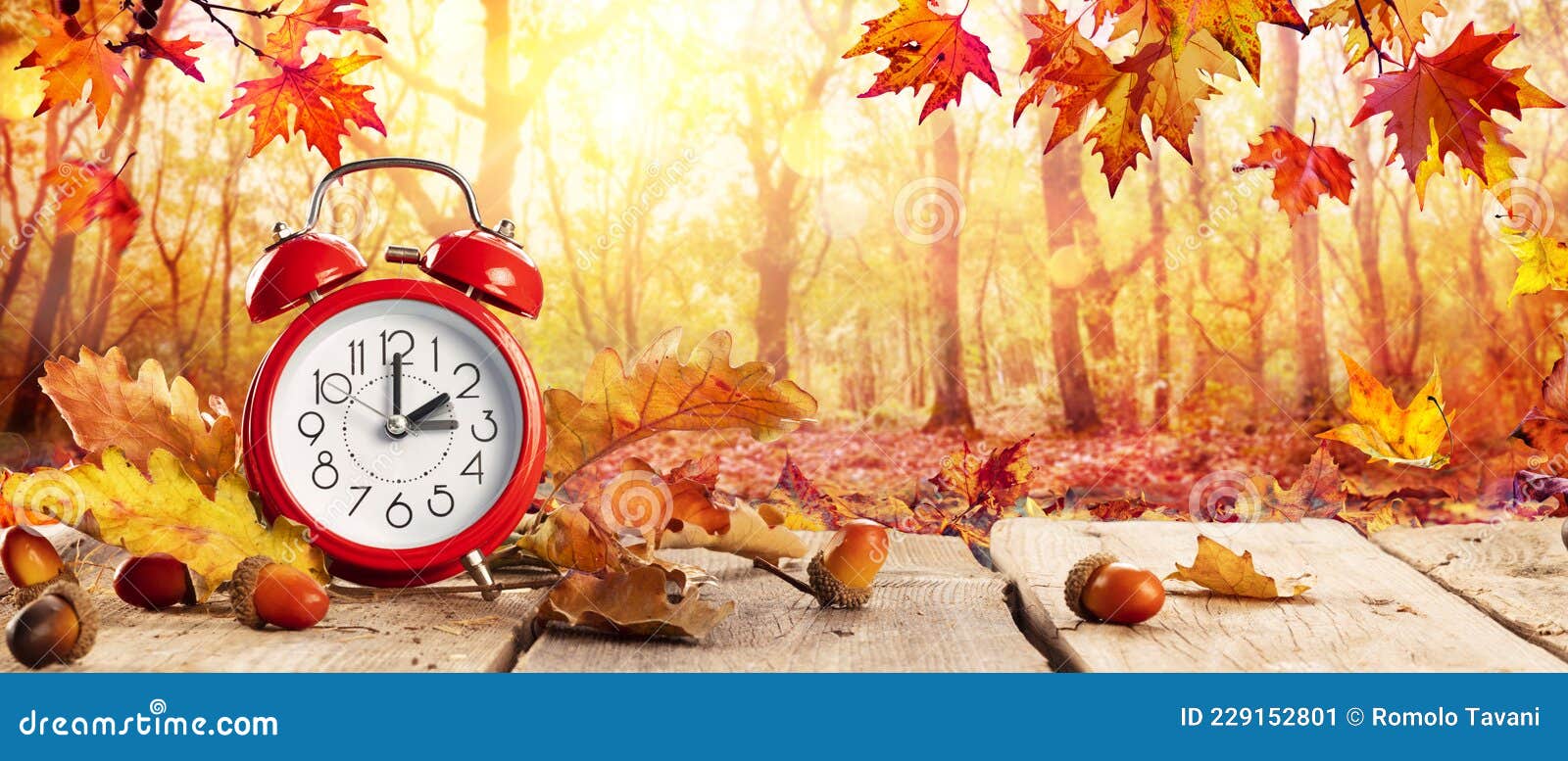 fall back time - daylight savings end