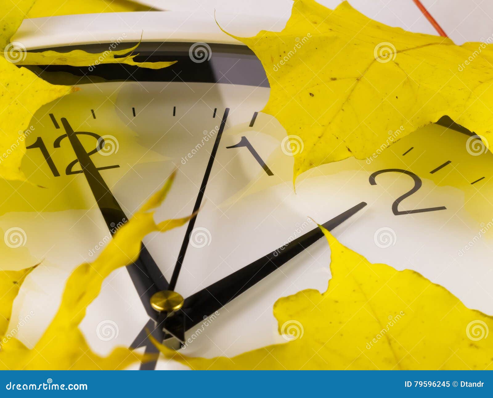 fall back, winter time. clock and yellow leaves
