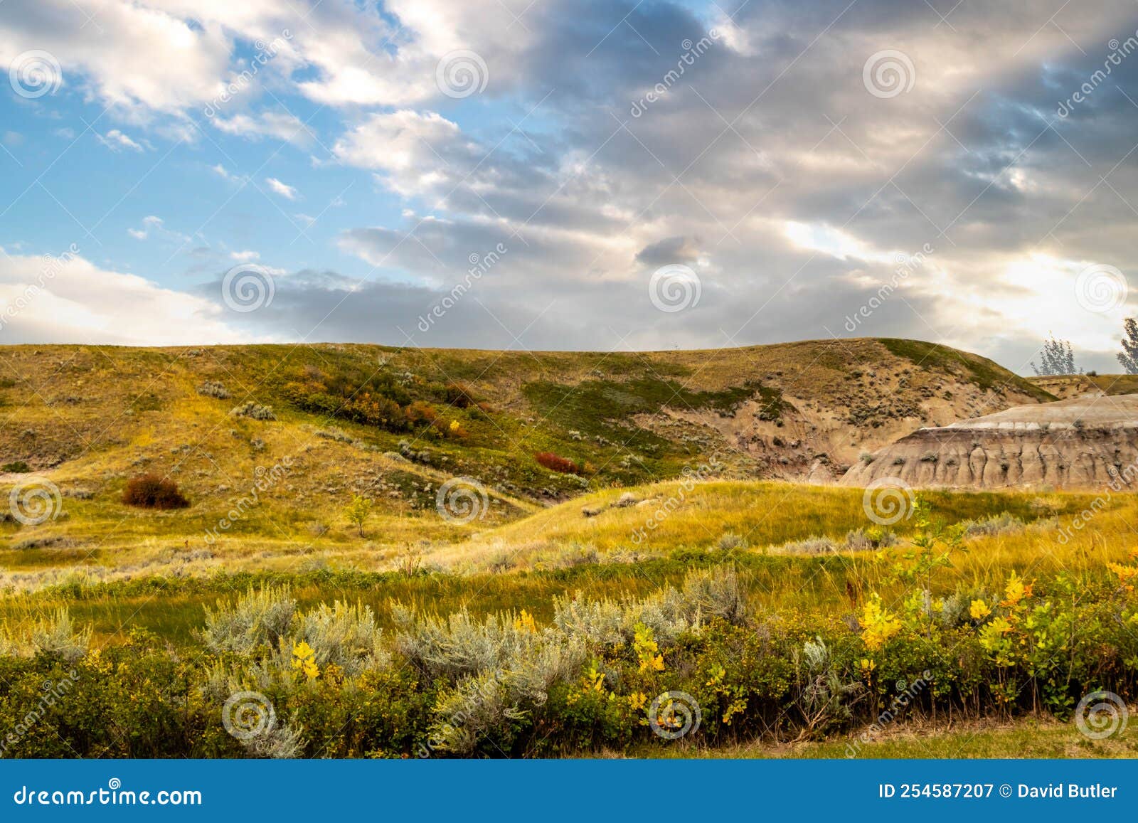 Fall in the Badlands. Midland Provincial Park, Alberta, Canada Stock