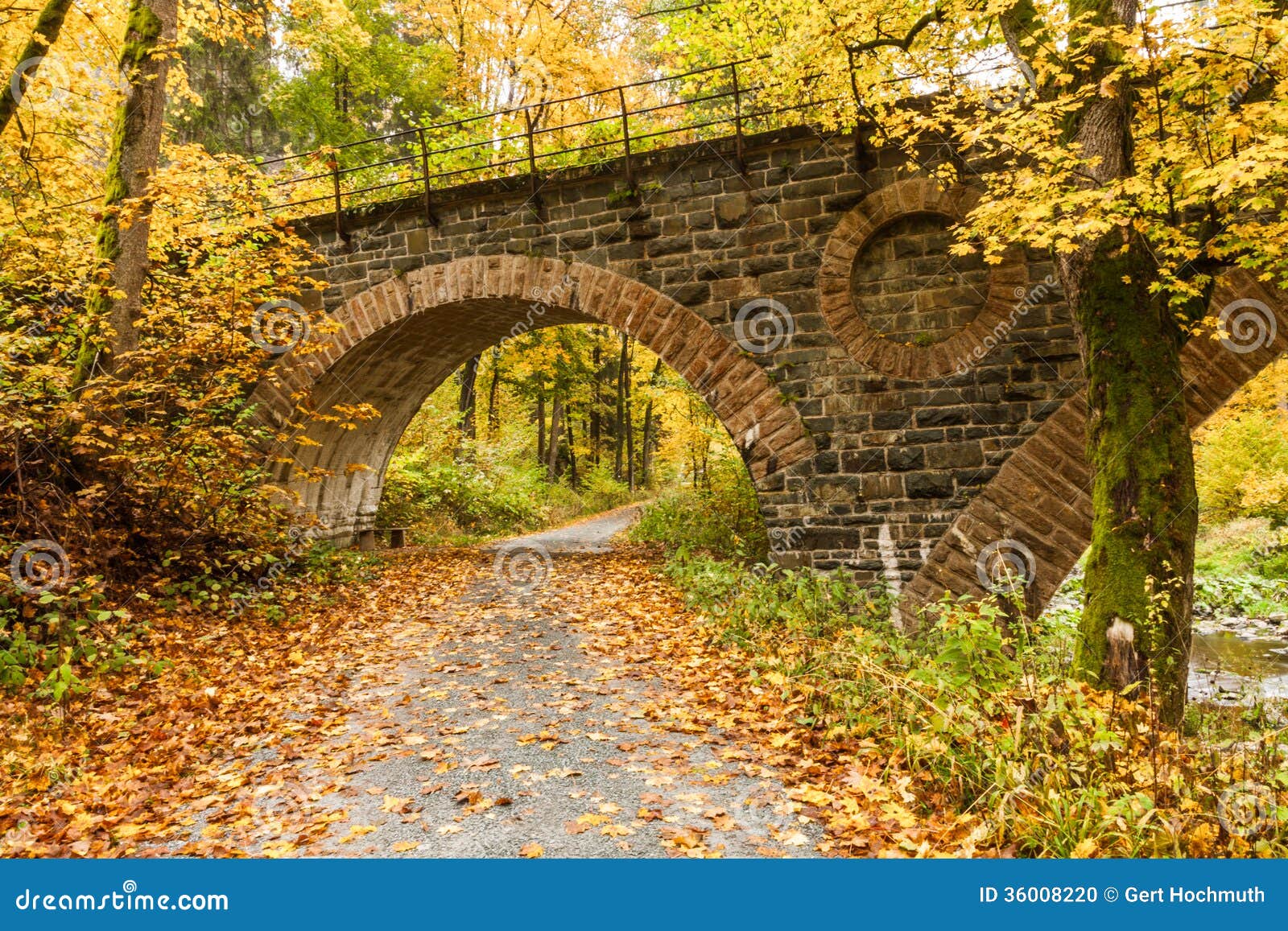 Fall in Bavaria stock photo. Image of outdoors, foliage 36008220
