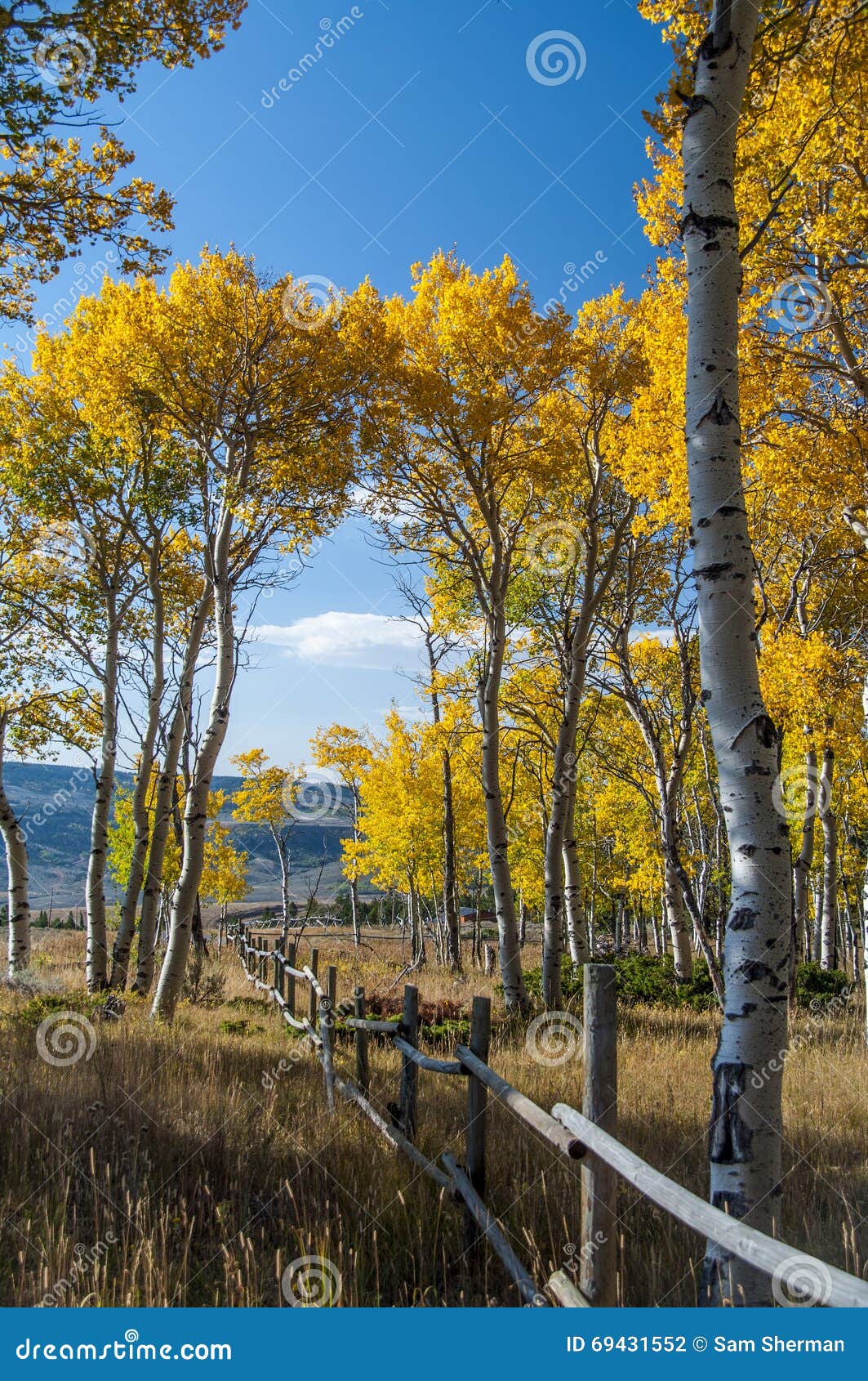 fall on casper mountain wyoming