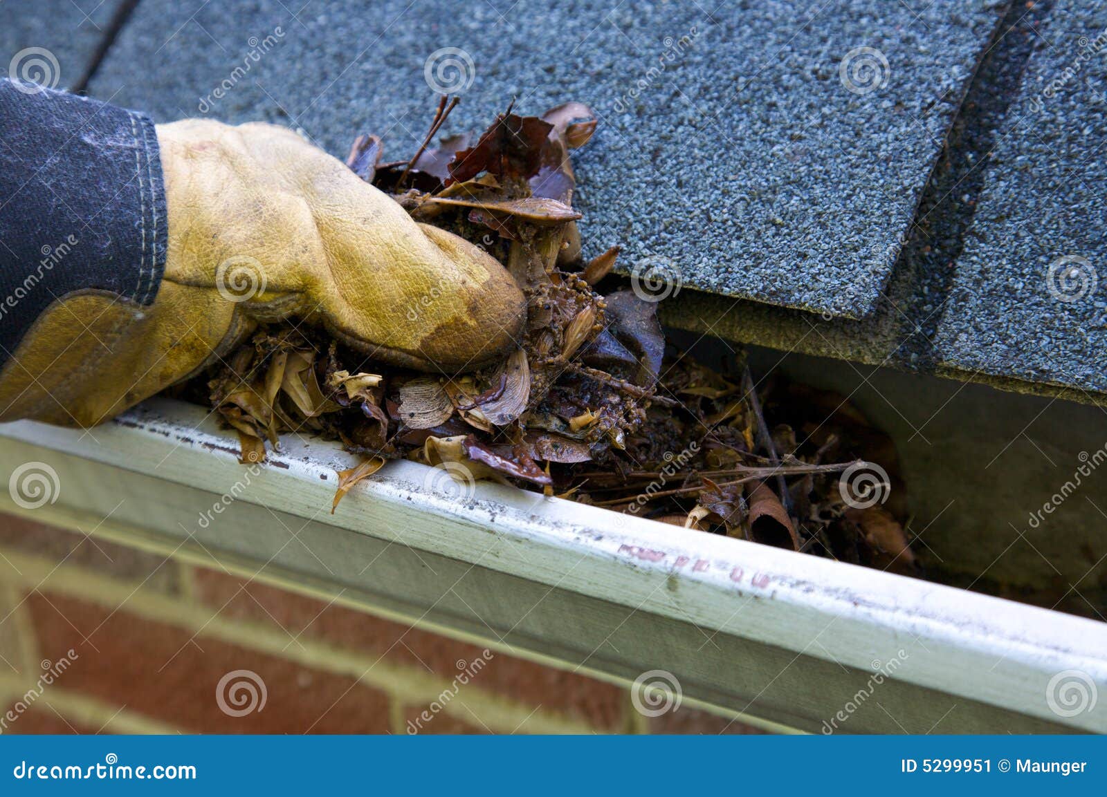 fall cleanup - leaves in gutter