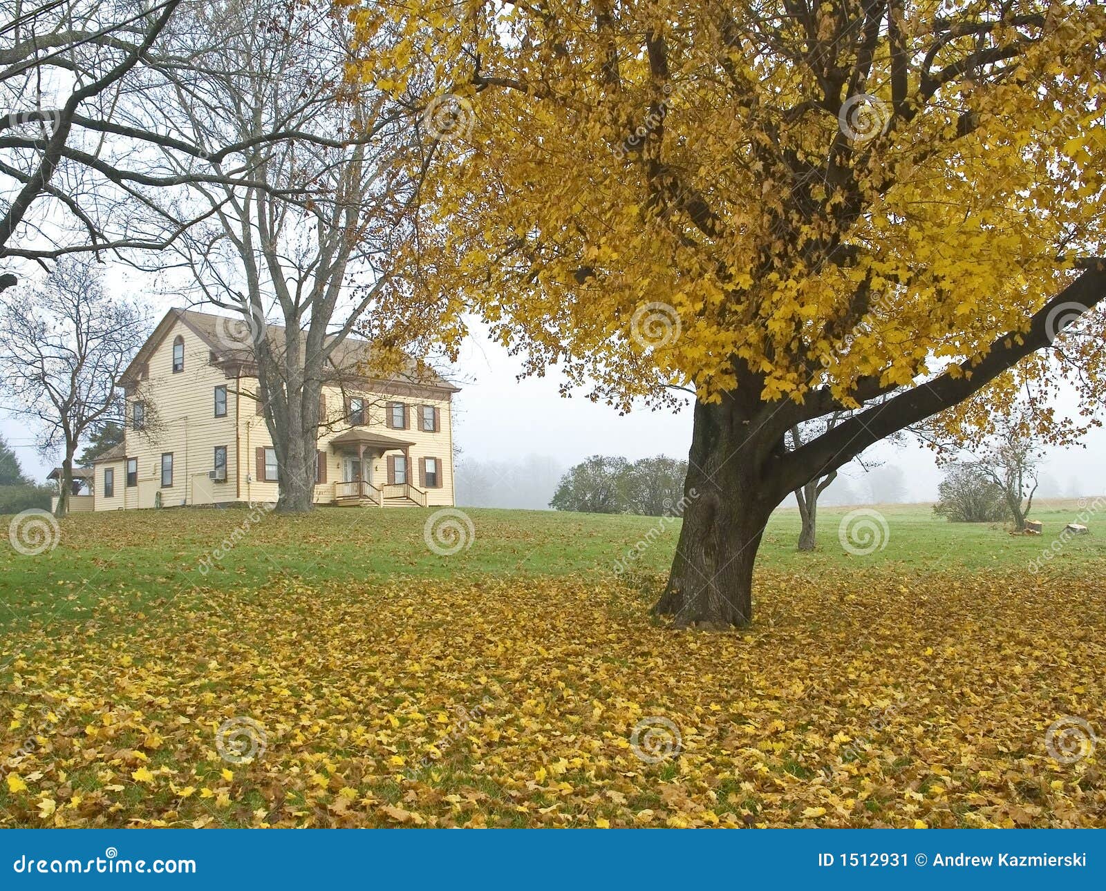 Fall Colonial stock image. Image of jersey, home, grass - 1512931