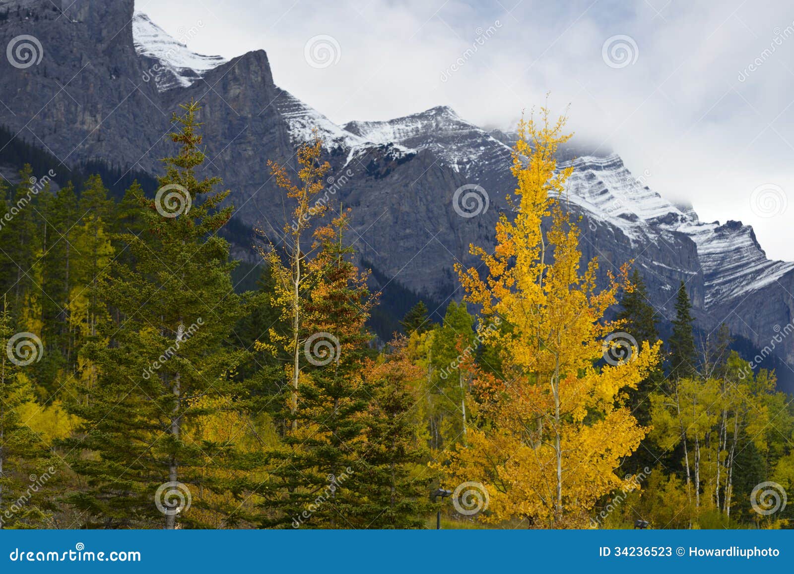 fall color in canadian rockies