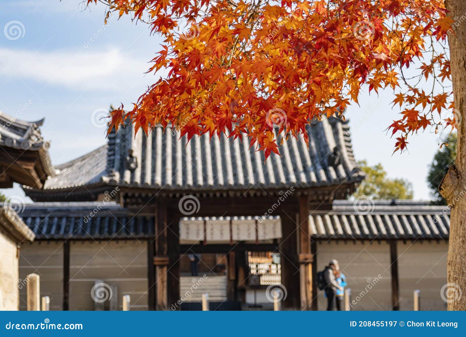 Fall Color Over the Historical Horyu Ji Stock Image - Image of roof ...