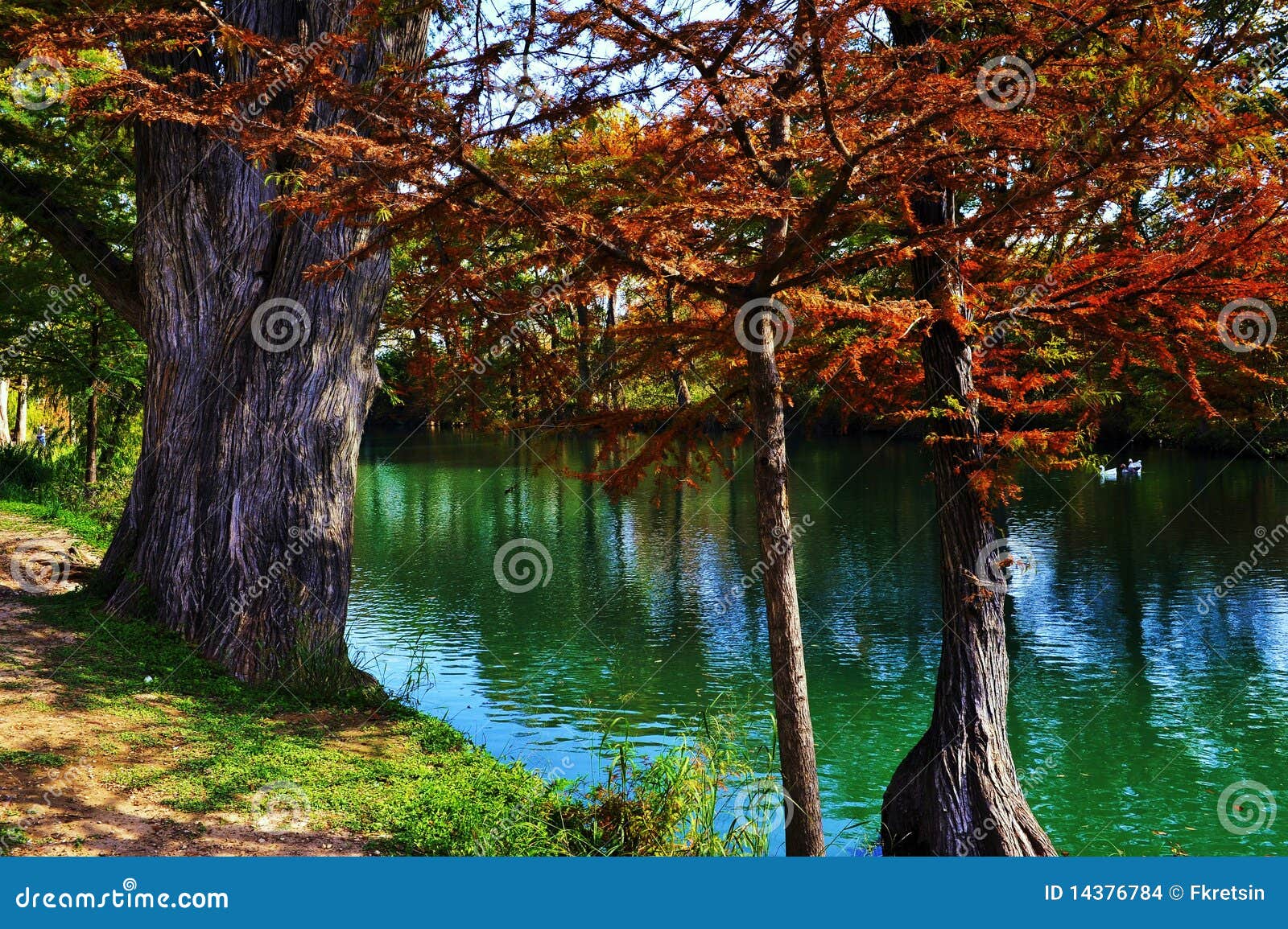 Fall Colors in Bandera City Park Stock Photo Image of scenic