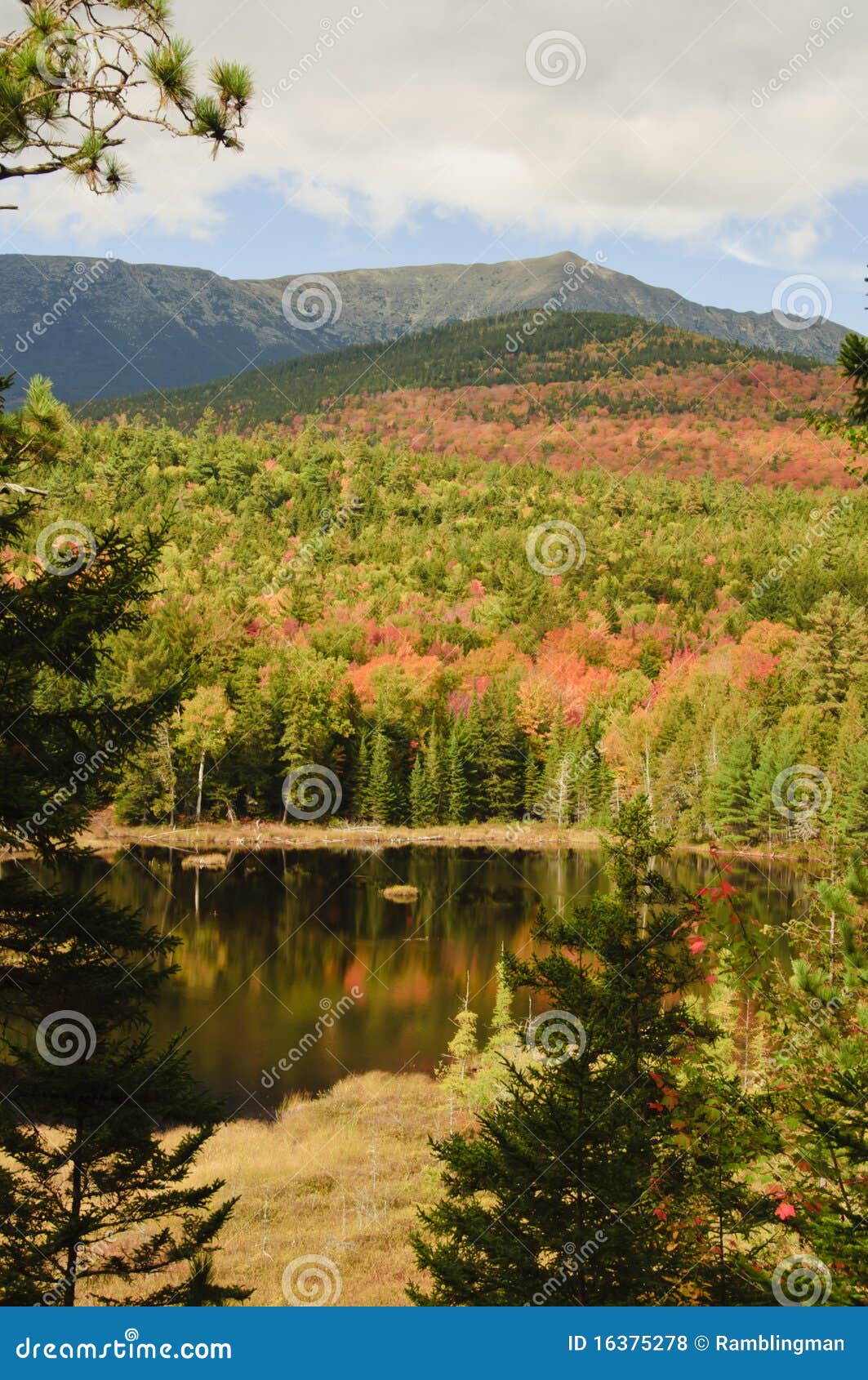 Fall colors in Maine stock photo. Image of forest, trees 16375278