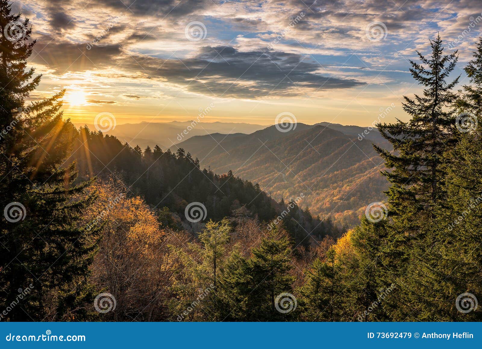 fall colors, scenic sunrise, great smoky mountains