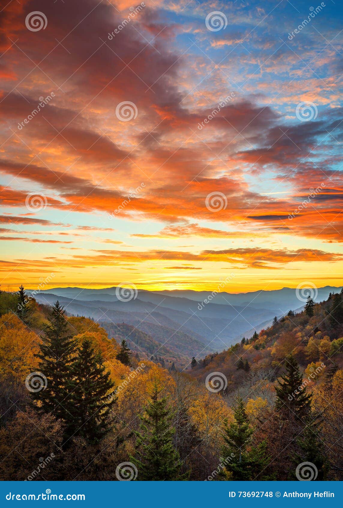 fall colors, scenic sunrise, great smoky mountains