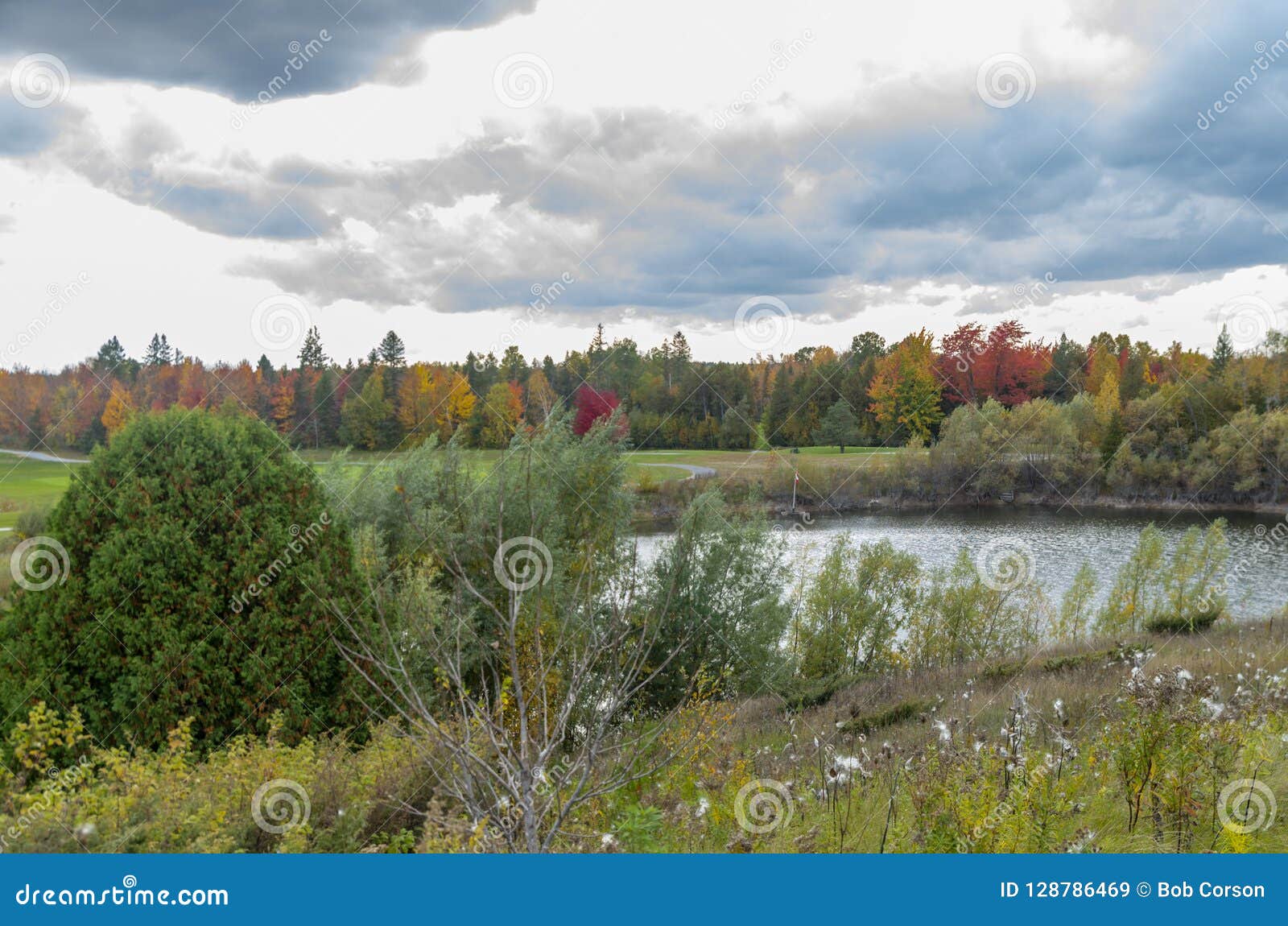 fall colours 2018 40