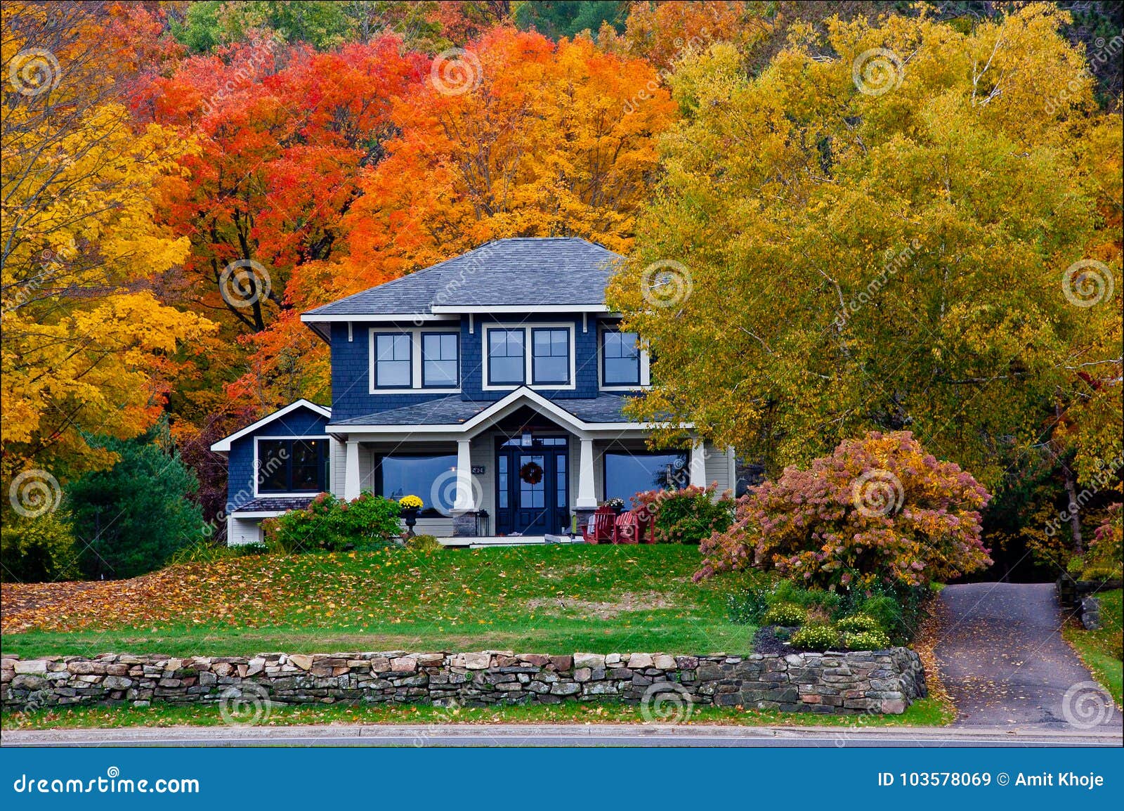 fall colours behind a house