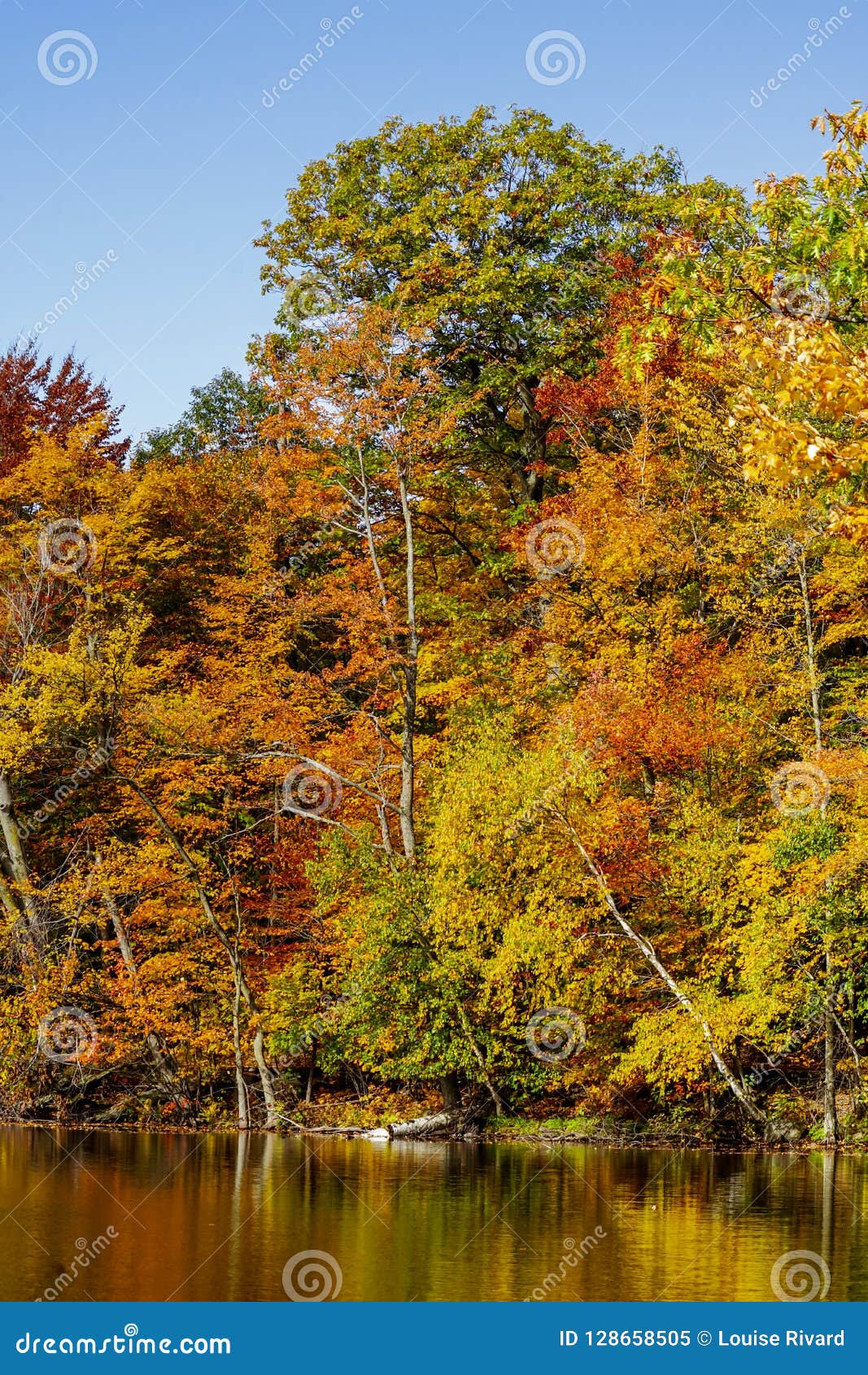 fall colours kaleidoscope at saint-bruno park