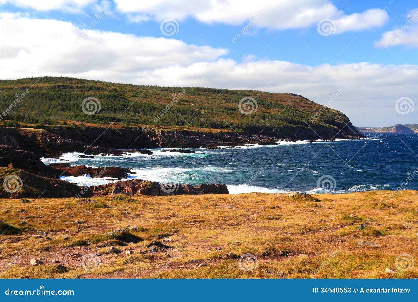 Fall on Cost Line of Newfoundland, Canada. Stock Image Image of