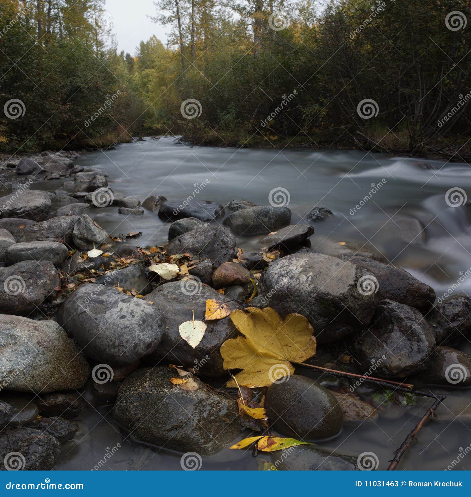 Fall Creak Composite Stock Image Image Of Creek Alaska 11031463 fall-creak-composite-stock-image-image-of-creek-alaska-11031463