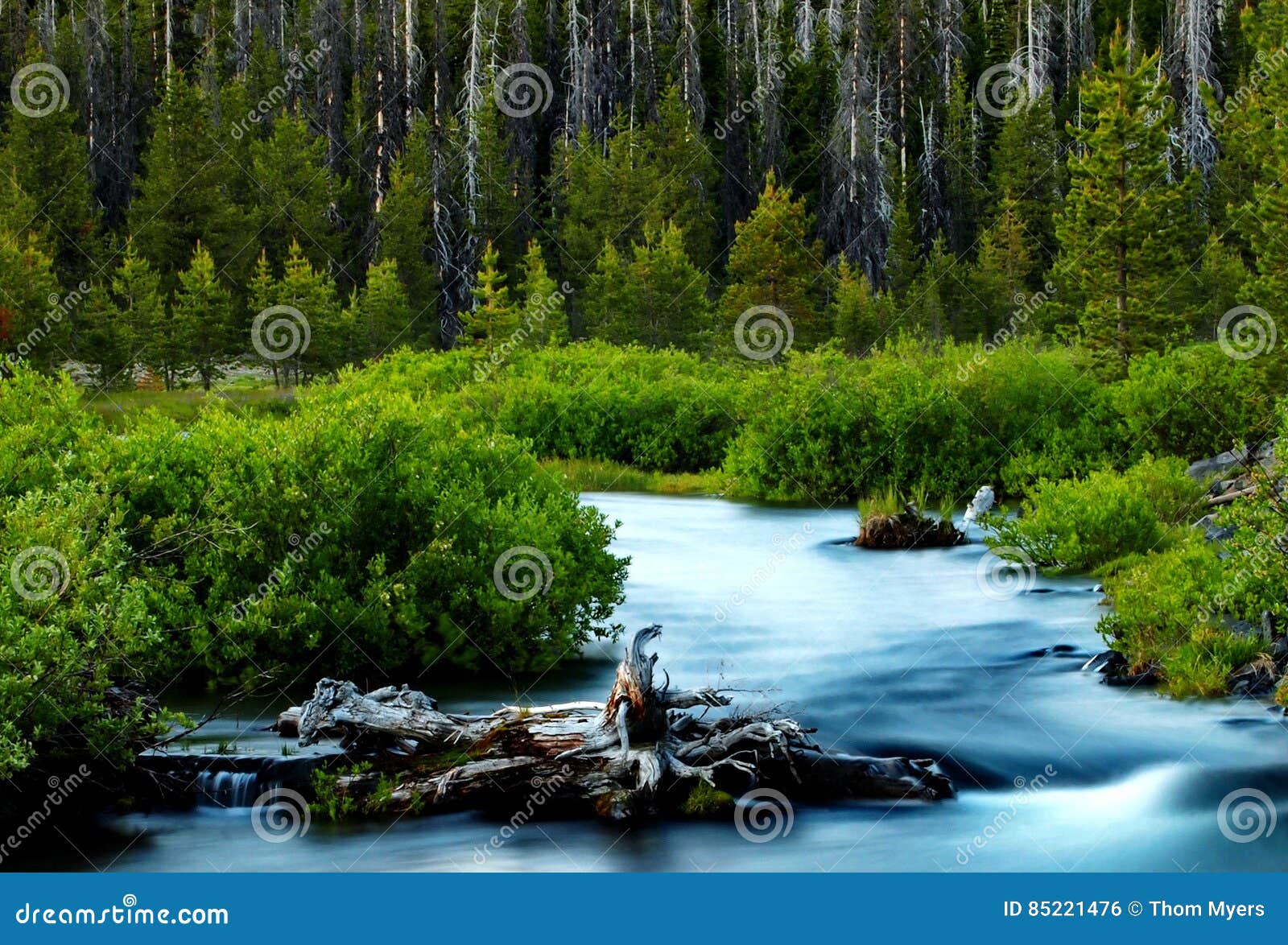 fall-creek-glow-stock-photo-image-of-brown-environment-85221476