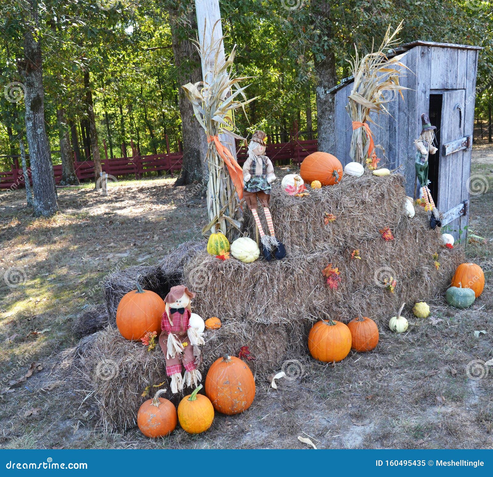 Fall Decorations of Pumpkins, Hay Bales and an Outhouse Stock Image