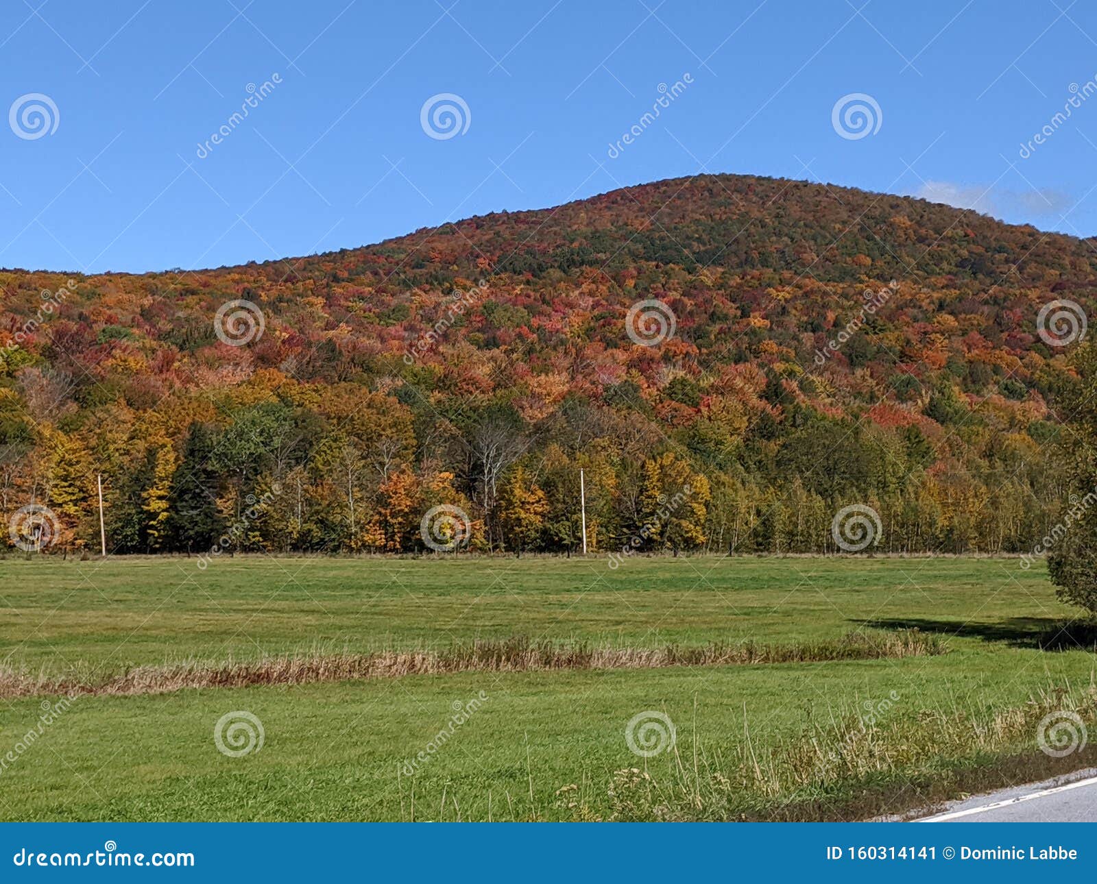 Fall in the Eastern Townships, Qc Stock Image Image of canada, tree