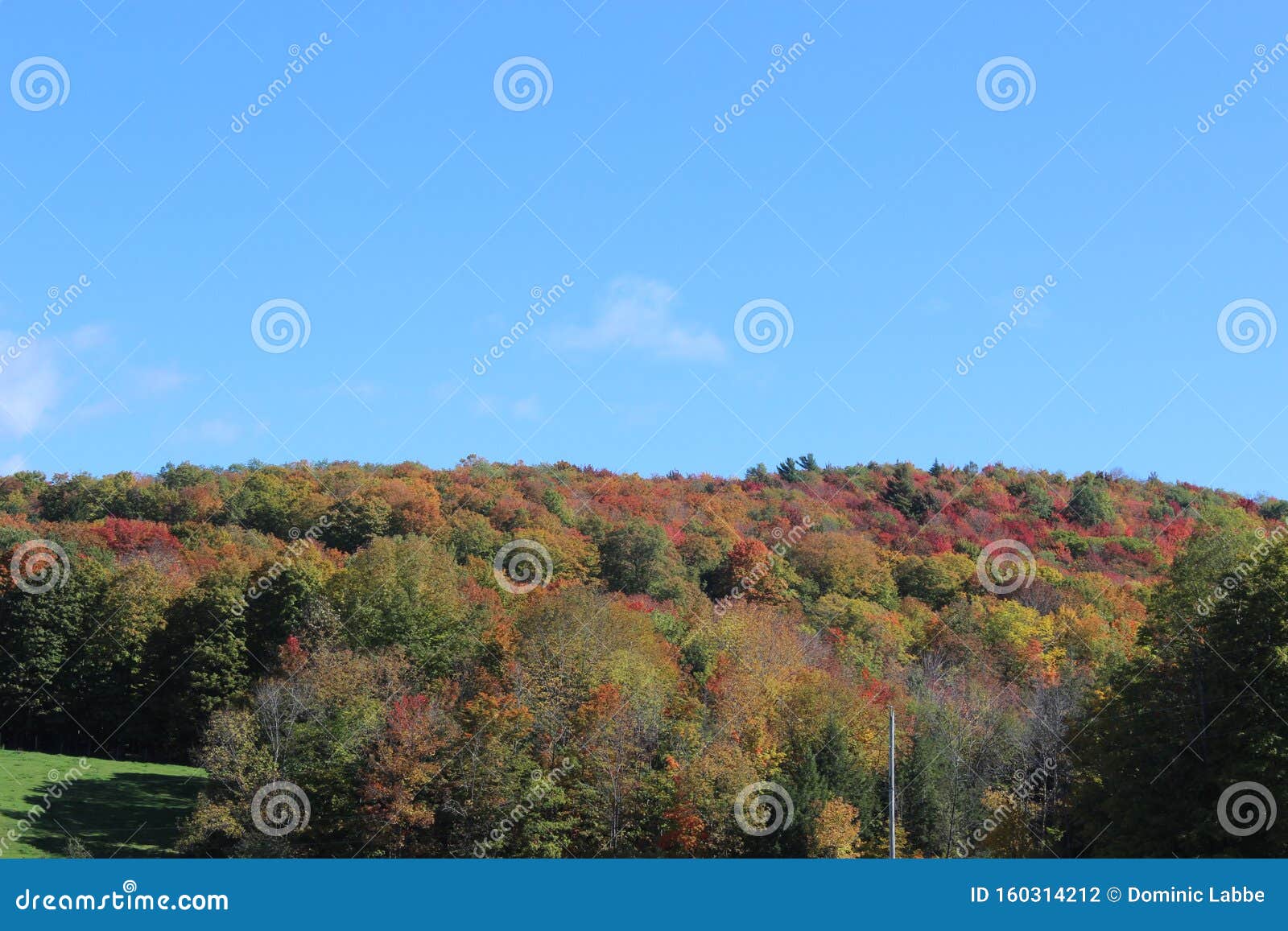 Fall in the Eastern Townships, Qc Stock Photo Image of nature, quebec