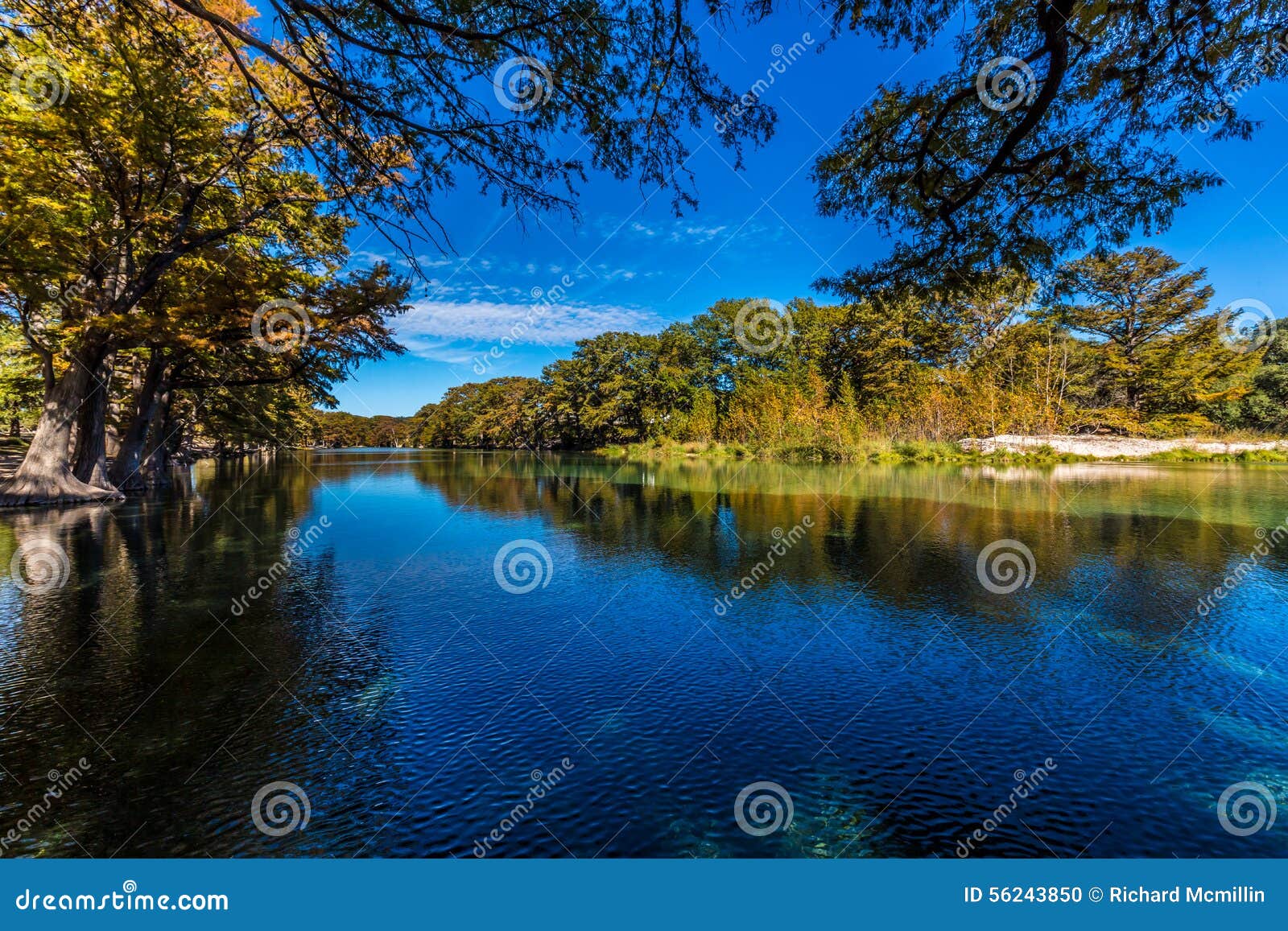 fall foliage on a fall day surrounding the frio river, texas