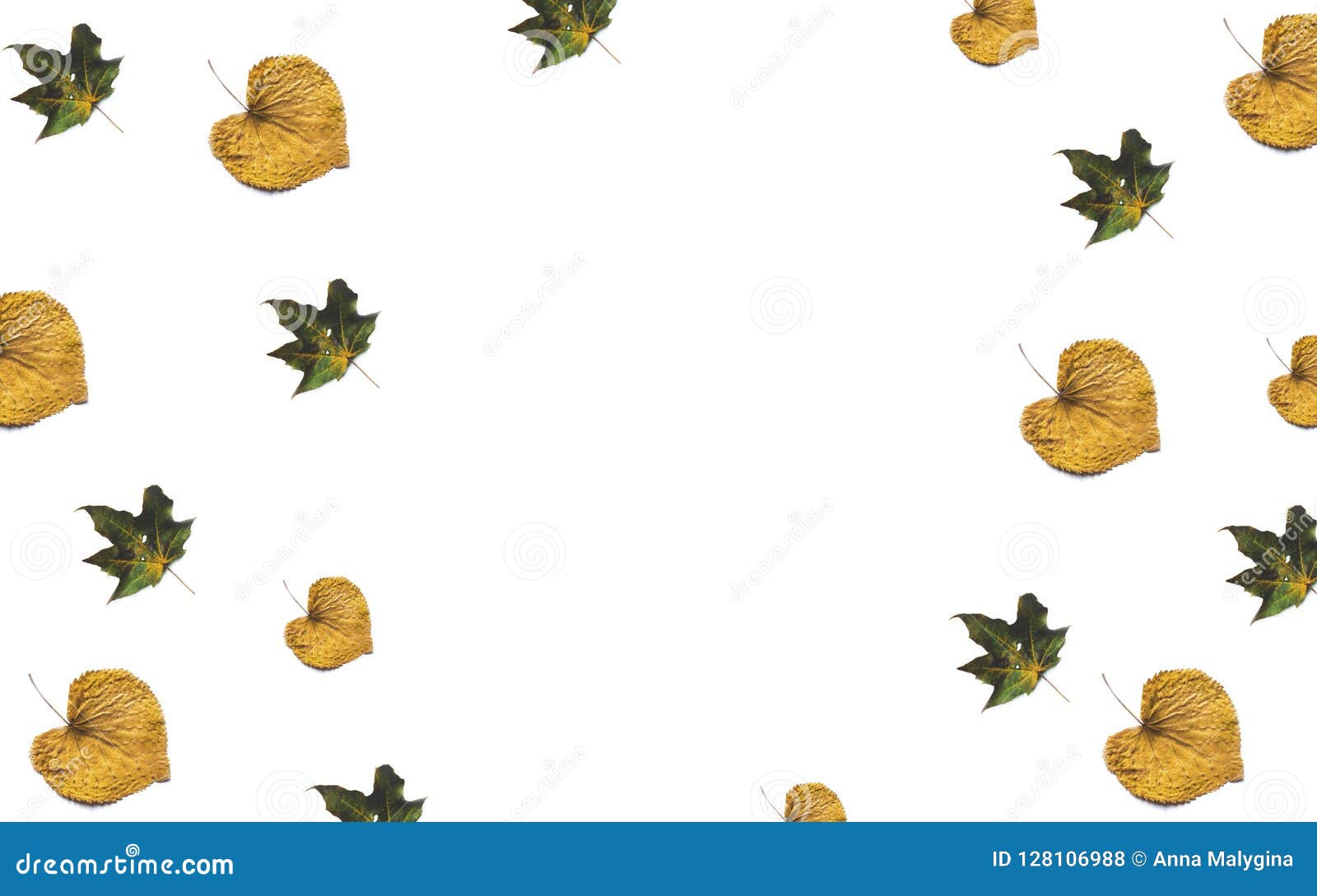Download Fall Foliage Mock Up, Pattern With Maple Leaves Stock Photo - Image of acorn, forest: 128106988
