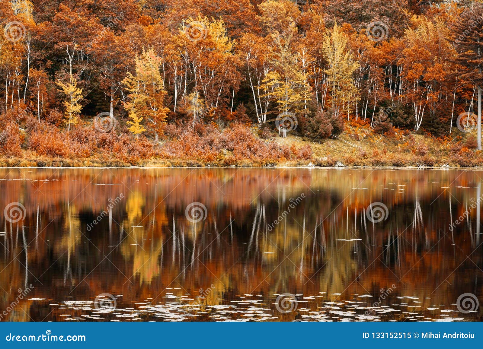 Fall Foliage Reflection In Jordan Pond Maine Stock Image Image Of