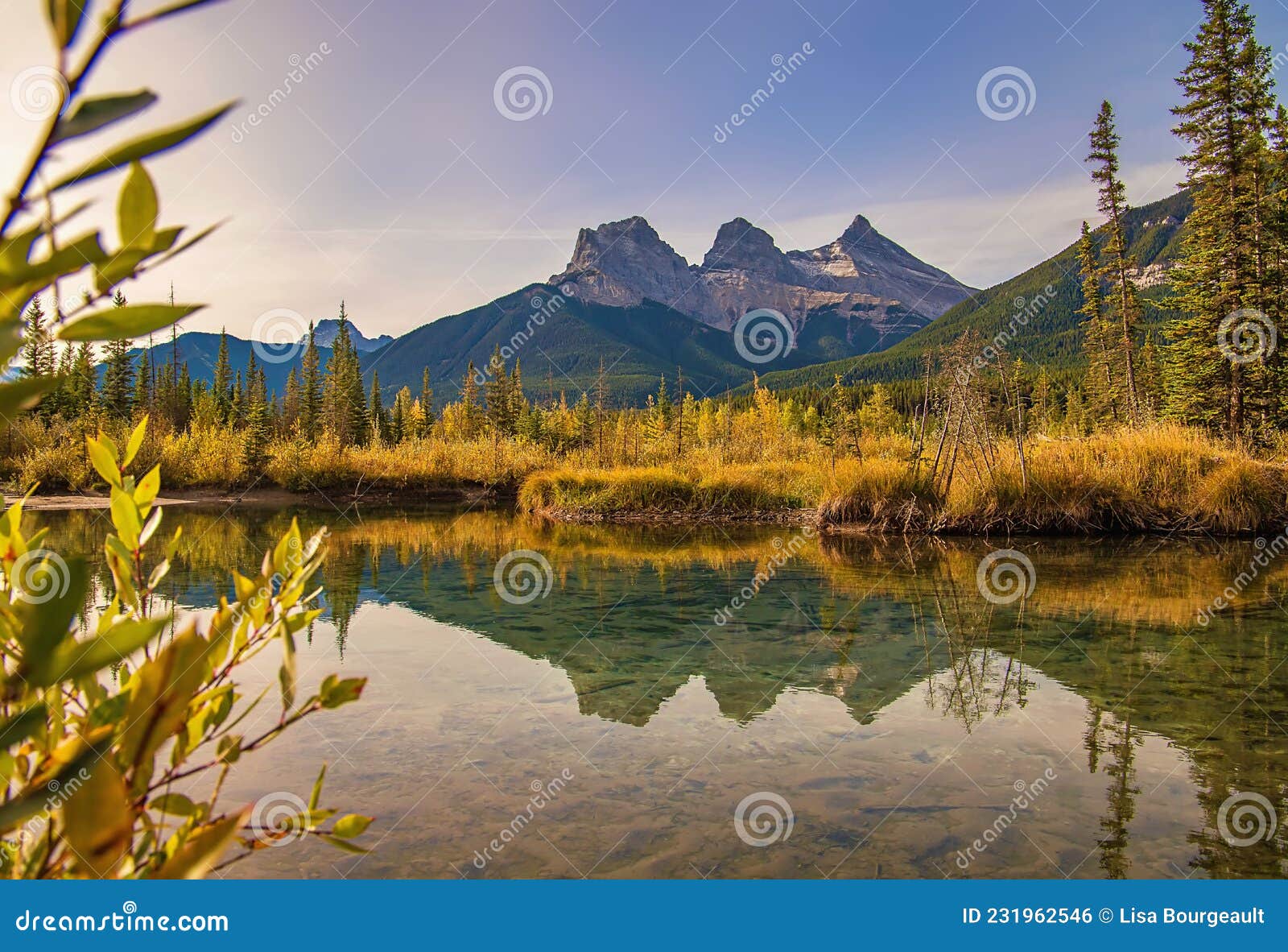 fall foliage by the three sisters mountain viewpoint