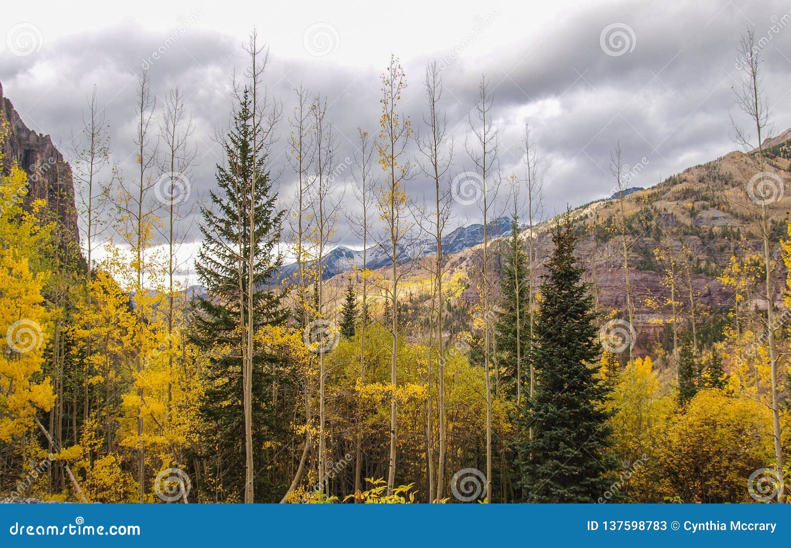 Hiking Trail To Bridal Veil Falls In Telluride Colorado Stock Image Image Of Southwest Bridal Hiking Trail To Bridal Veil Falls In Telluride Colorado Stock Image Image Of Southwest Bridal