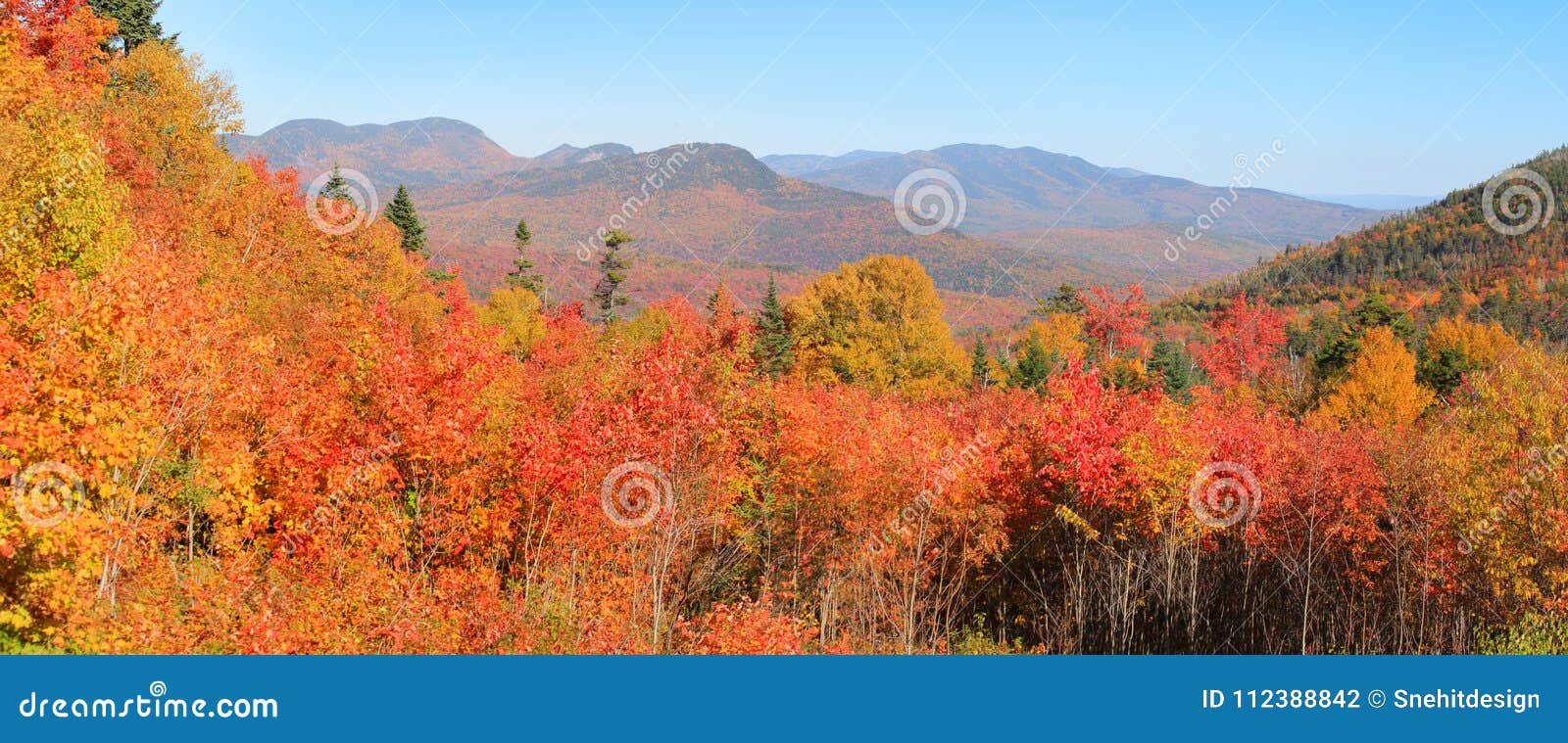 fall foliage in white mountain national park