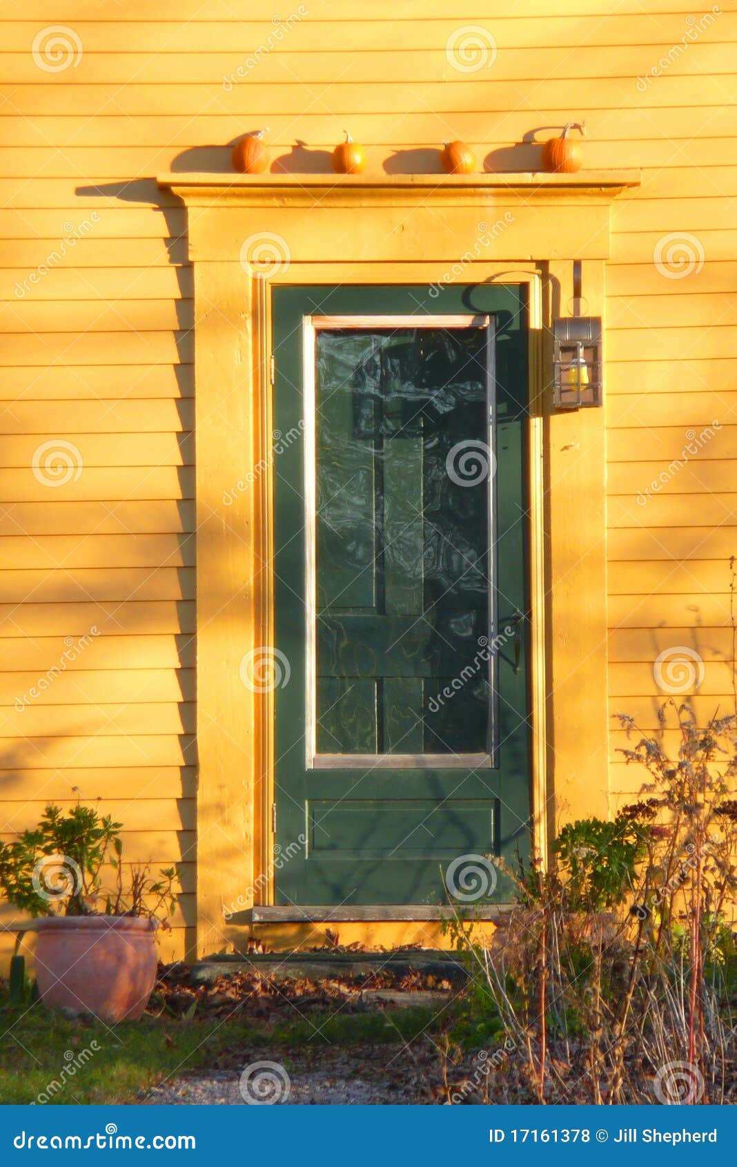 Fall Green Door with Pumpkins Stock Photo Image of door,