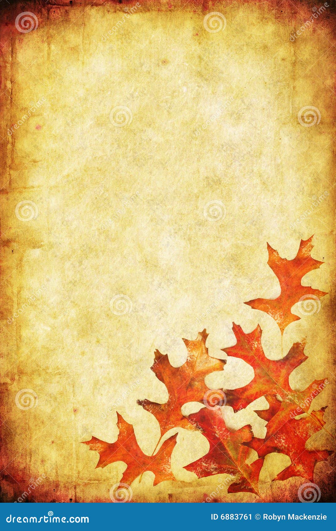 borders vector frames and free vintage Fall Grunge Image: Stock 6883761 Image Background borders vector frames and free vintage Fall Grunge Image: Stock 6883761 Image Background