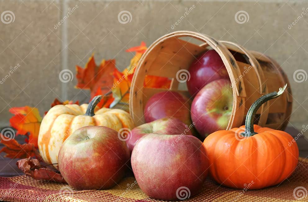 Fall Harvest stock photo. Image of harvest, basket, fresh - 3322278