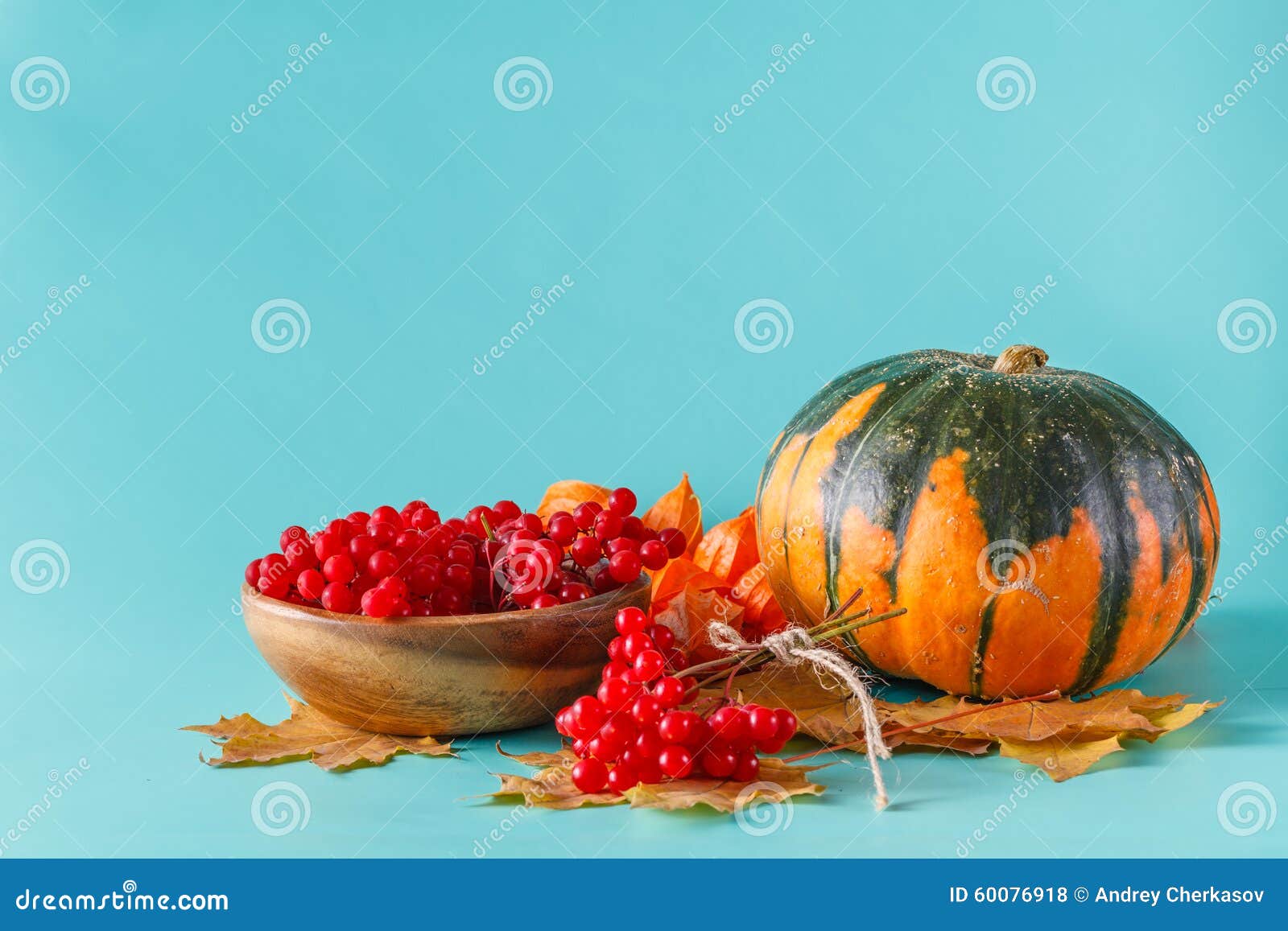 fall harvest on aquamarine shadowless background